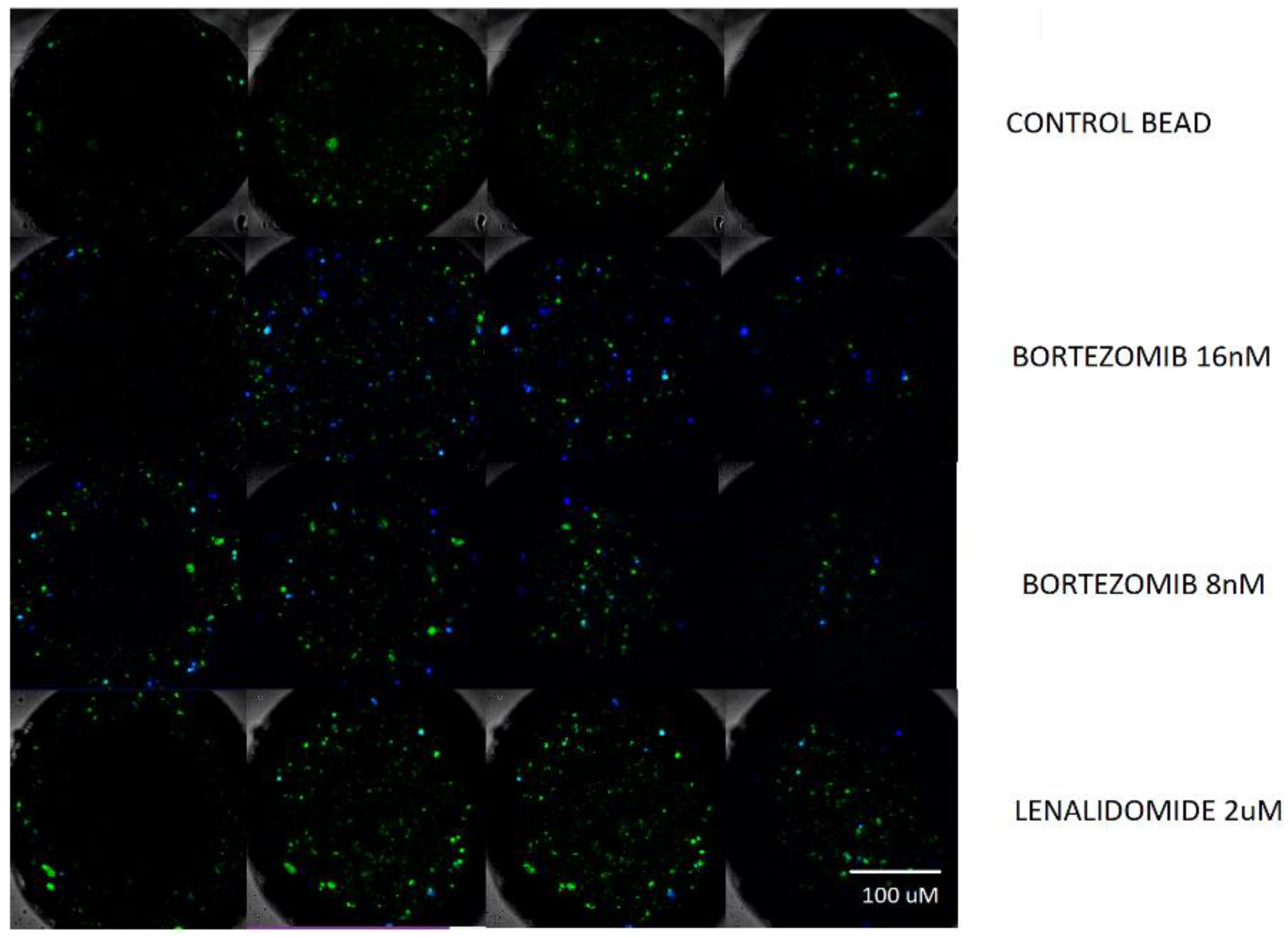 Micromachines 11 00261 g006