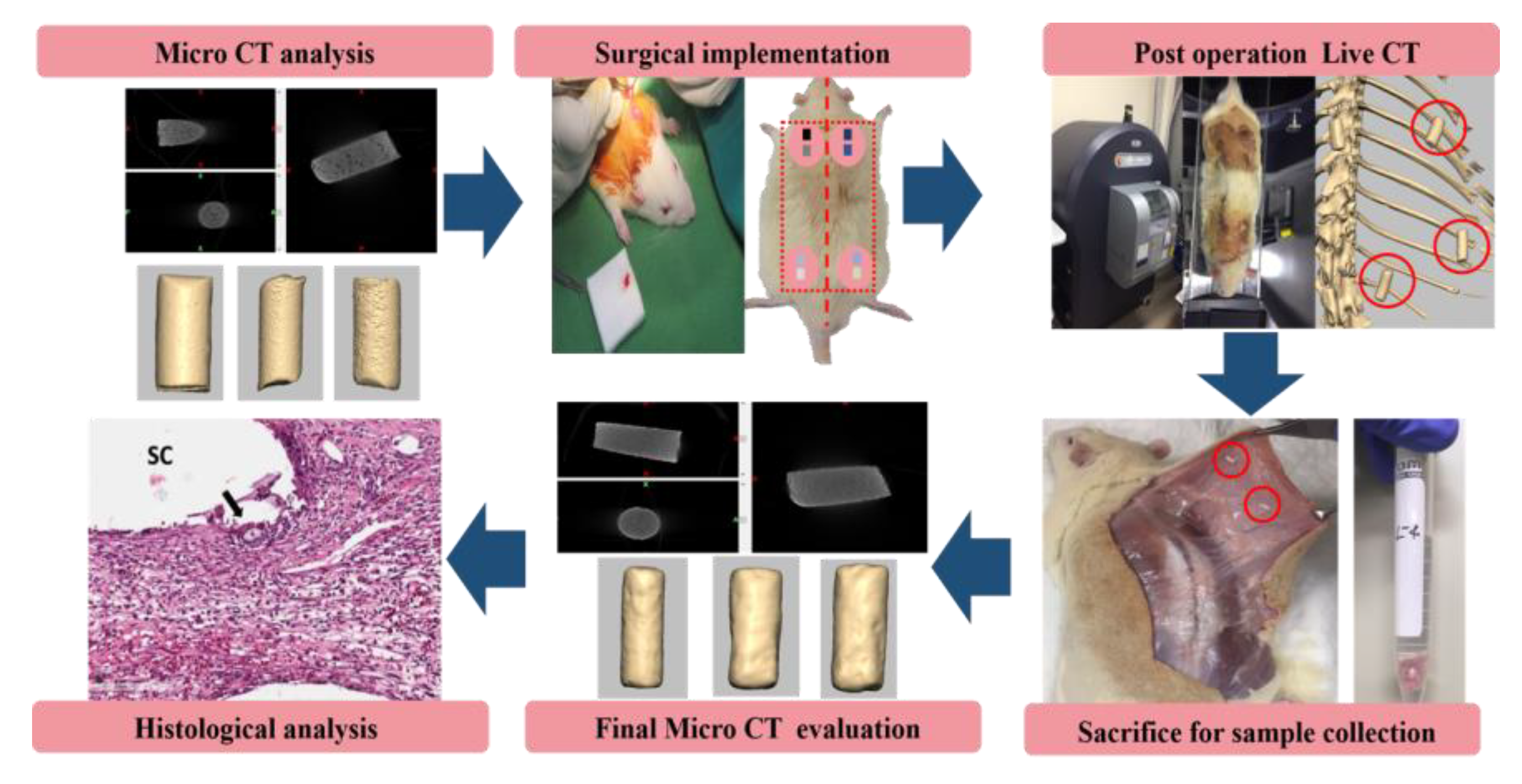 Micromachines 11 00273 g001 Micromachines 11 00273 g001