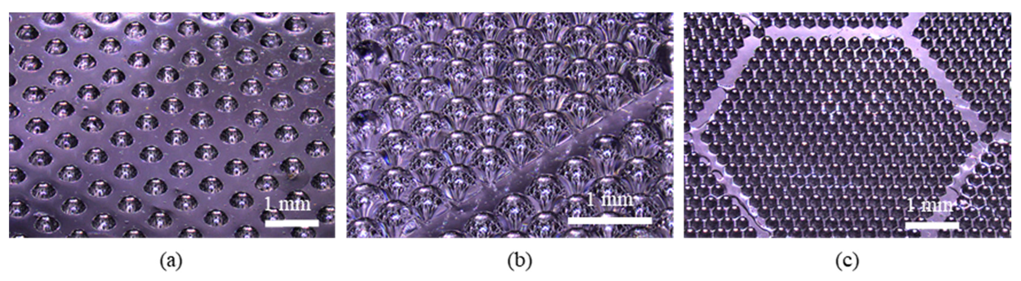 Micromachines 11 00277 g007