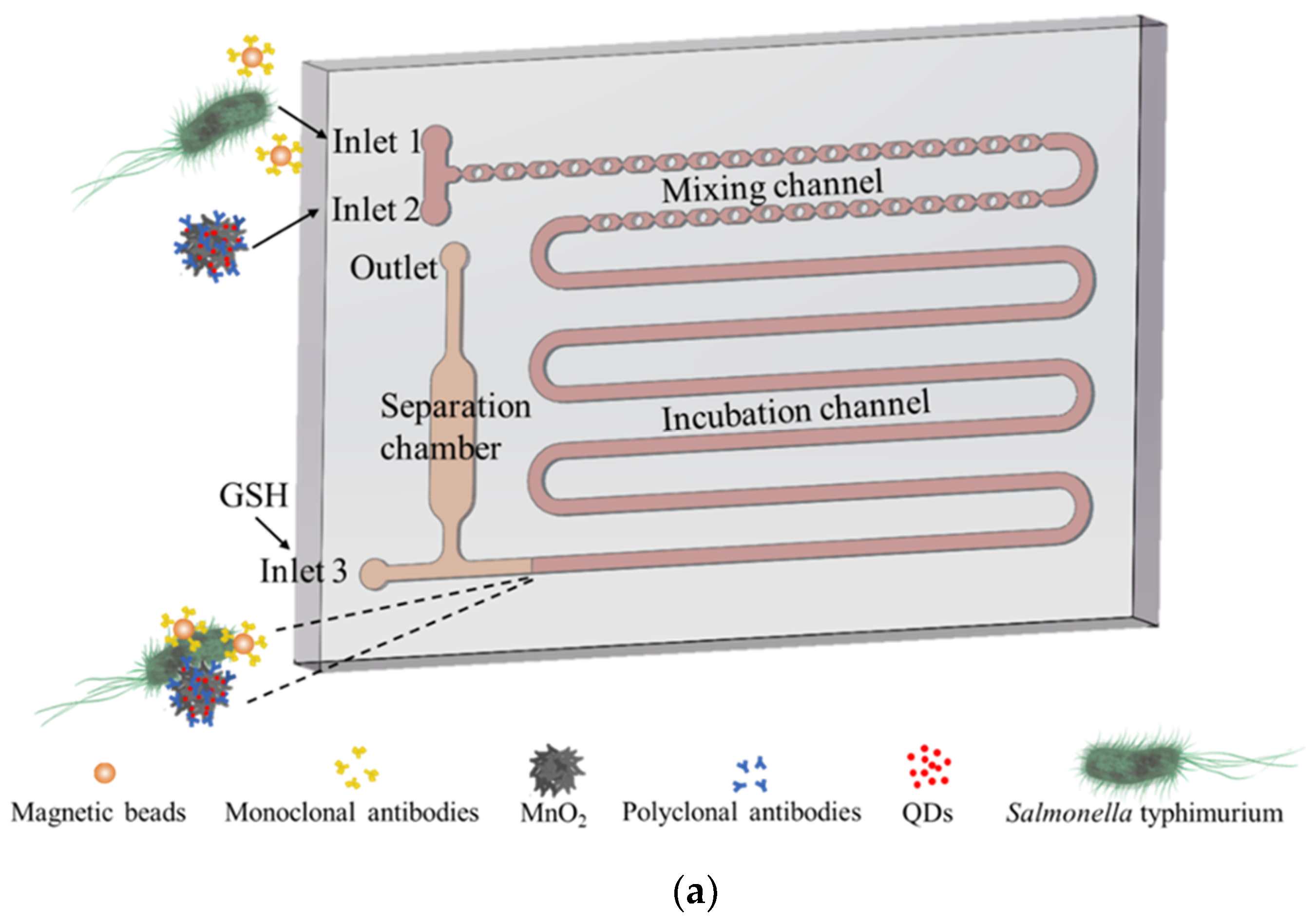 Micromachines 11 00281 sch001a Micromachines 11 00281 sch001a