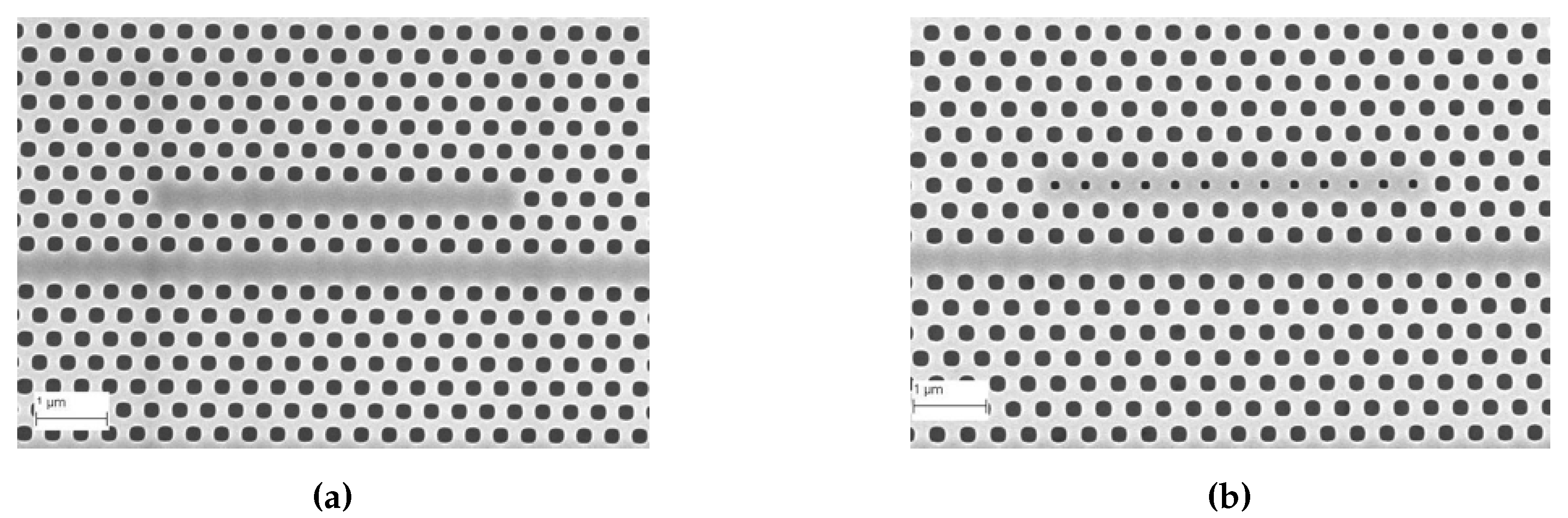 Micromachines 11 00282 g004