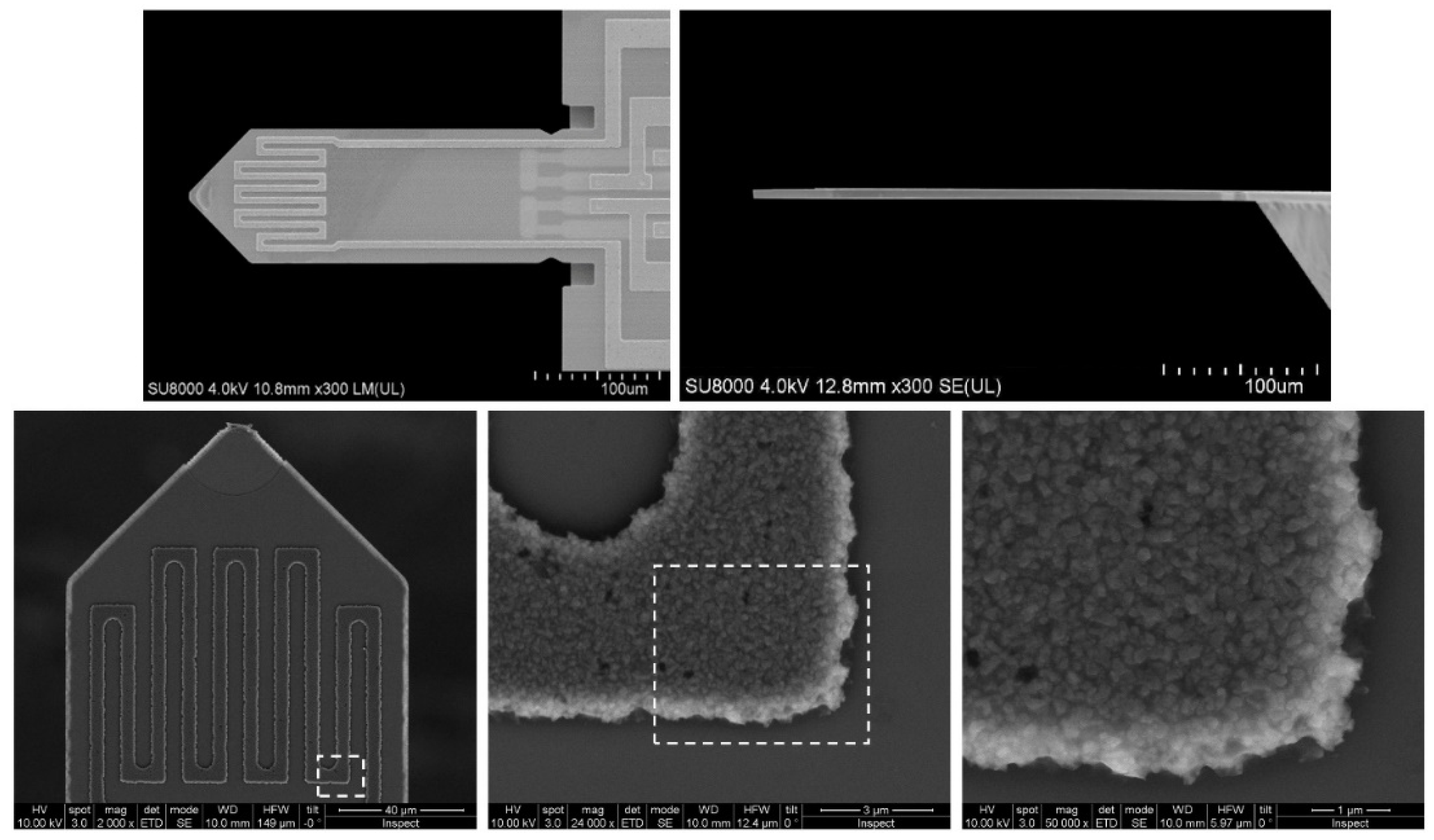 Micromachines 11 00283 g001 Micromachines 11 00283 g001