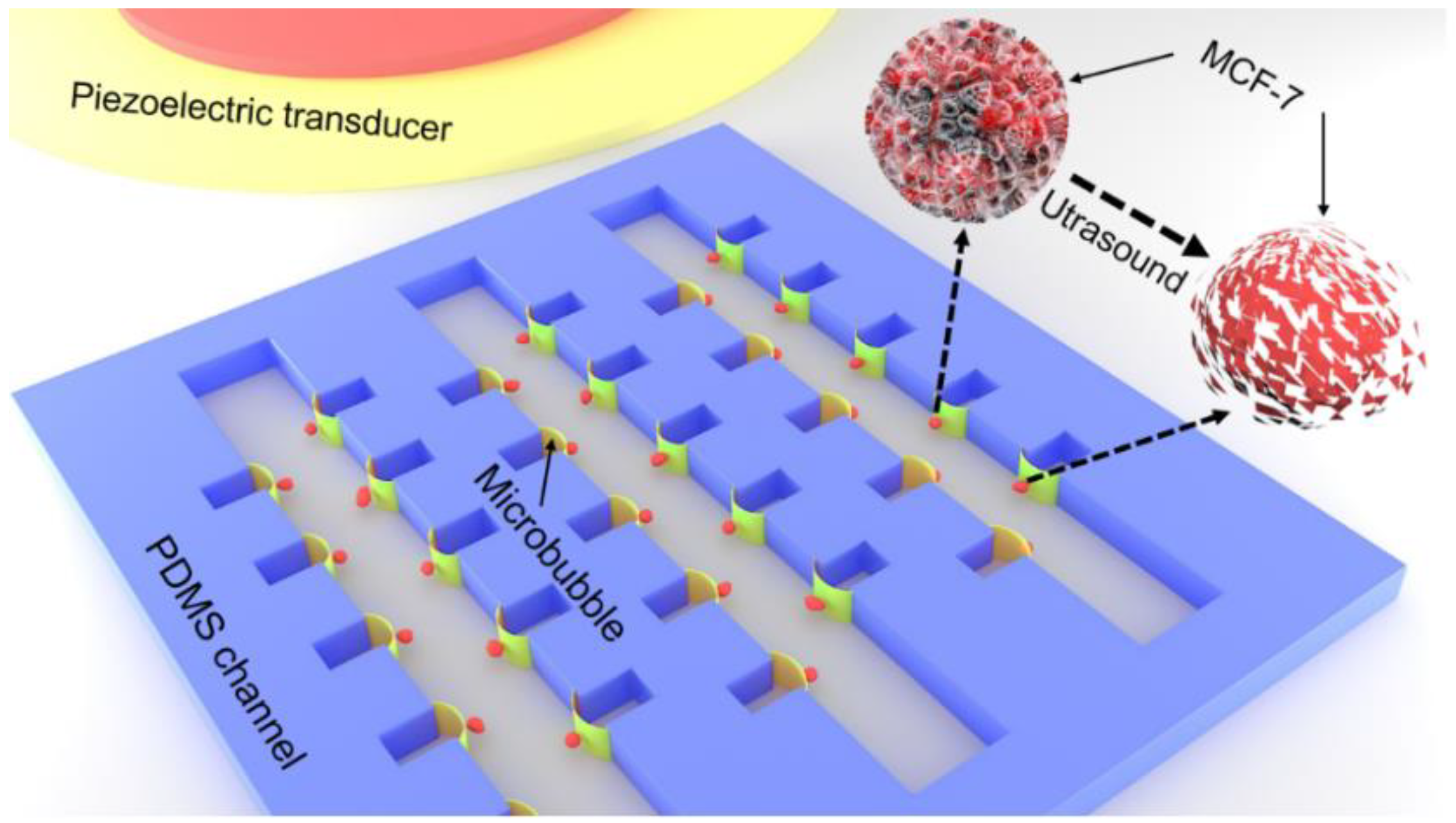 Micromachines 11 00288 g001 Micromachines 11 00288 g001