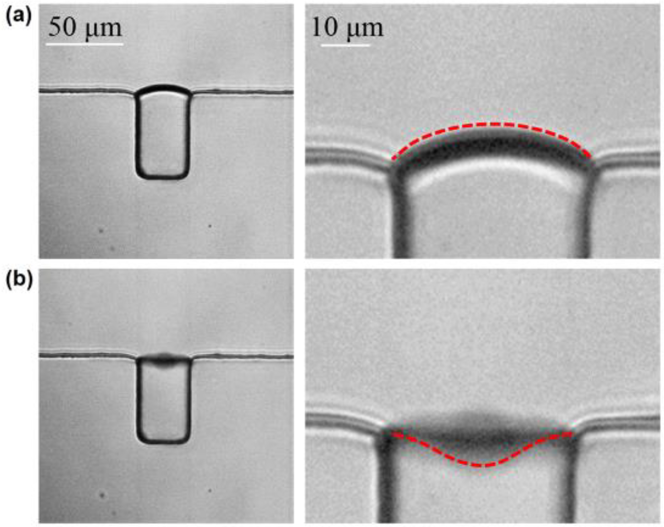 Micromachines 11 00288 g004 Micromachines 11 00288 g004