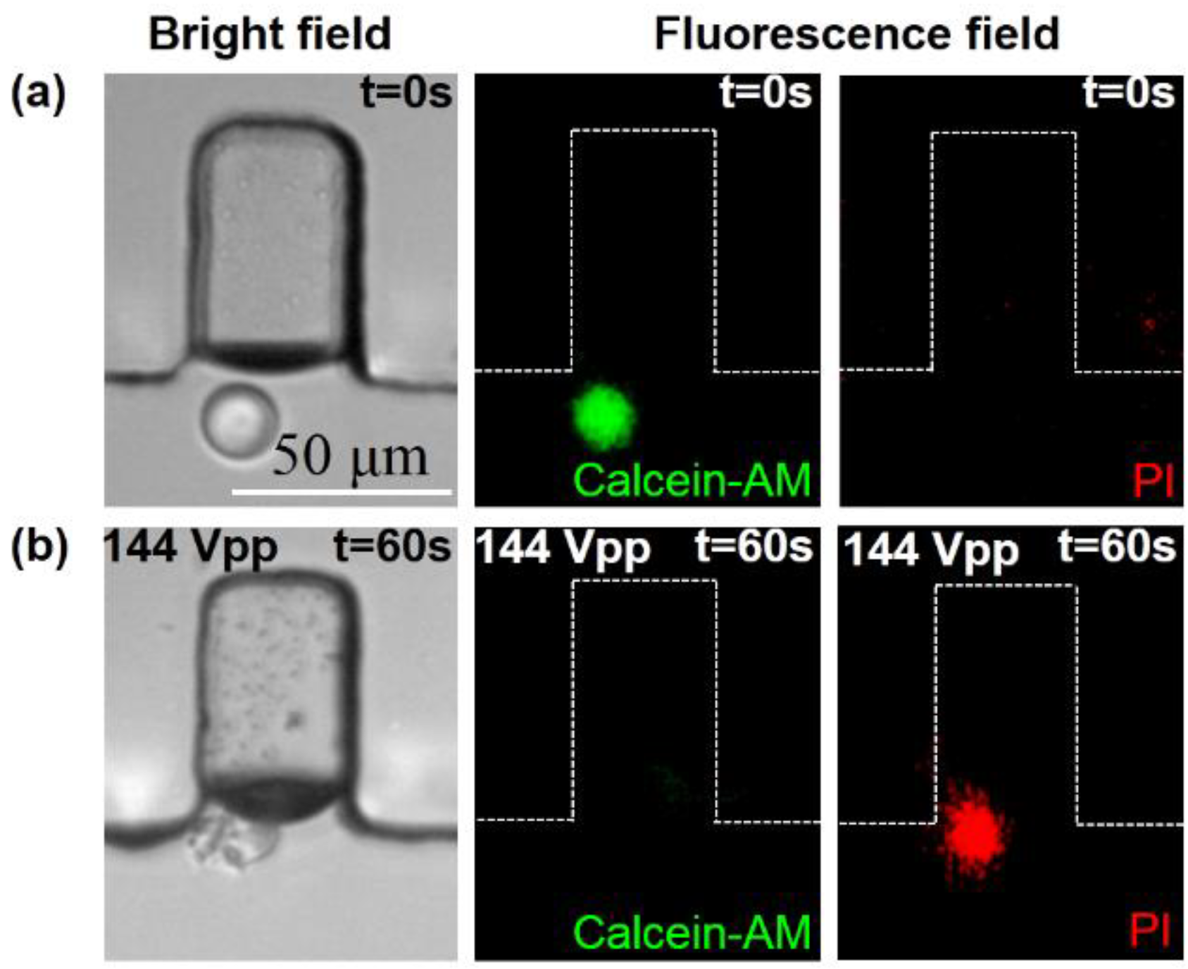 Micromachines 11 00288 g008 Micromachines 11 00288 g008