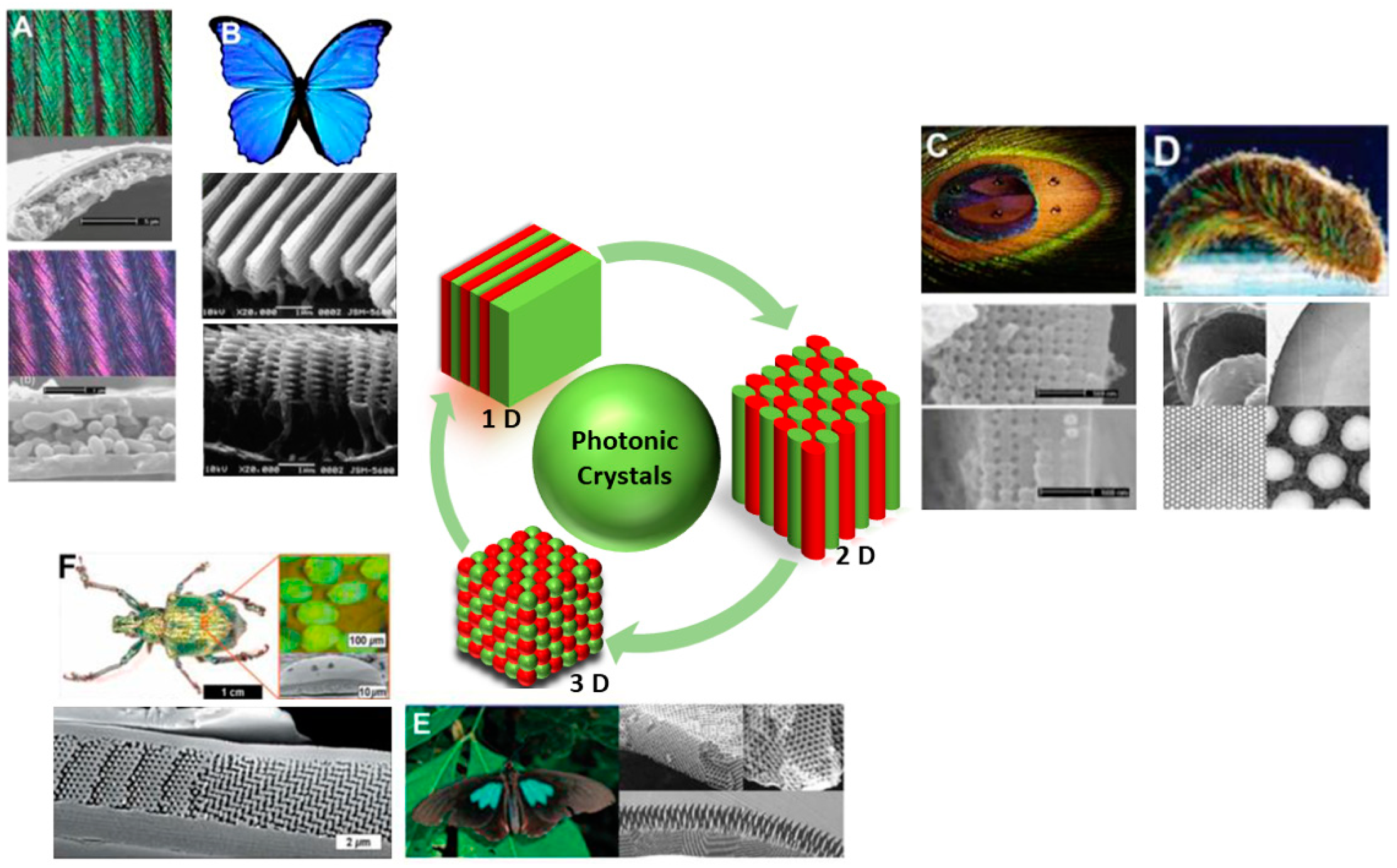 Micromachines Free Full Text Photonic Crystal Stimuli Responsive Chromatic Sensors A Short Review Html