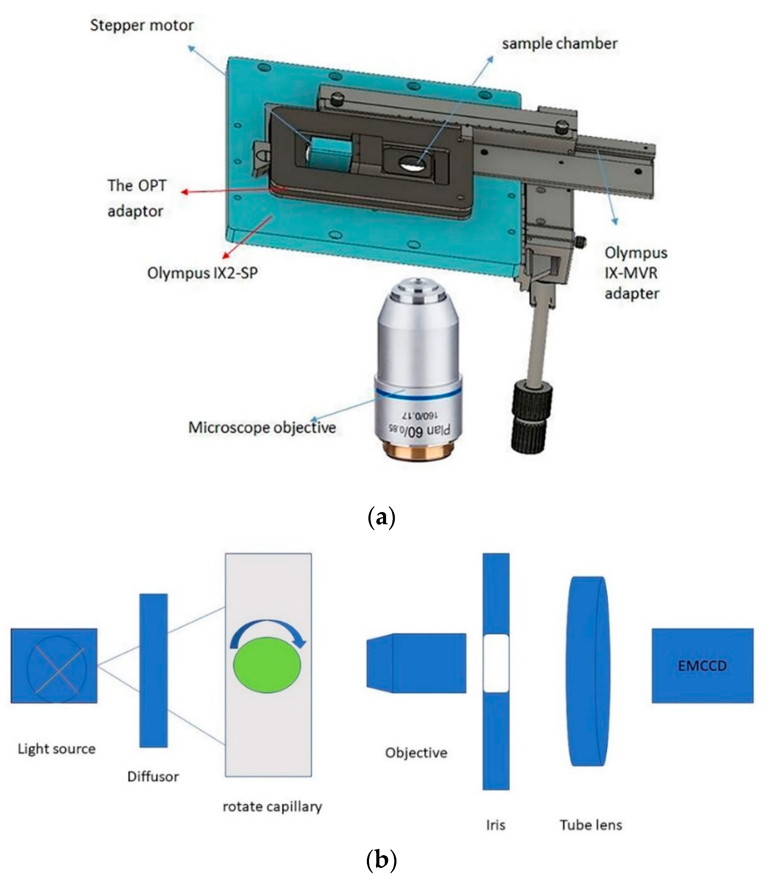 Micromachines 11 00293 g001 Micromachines 11 00293 g001
