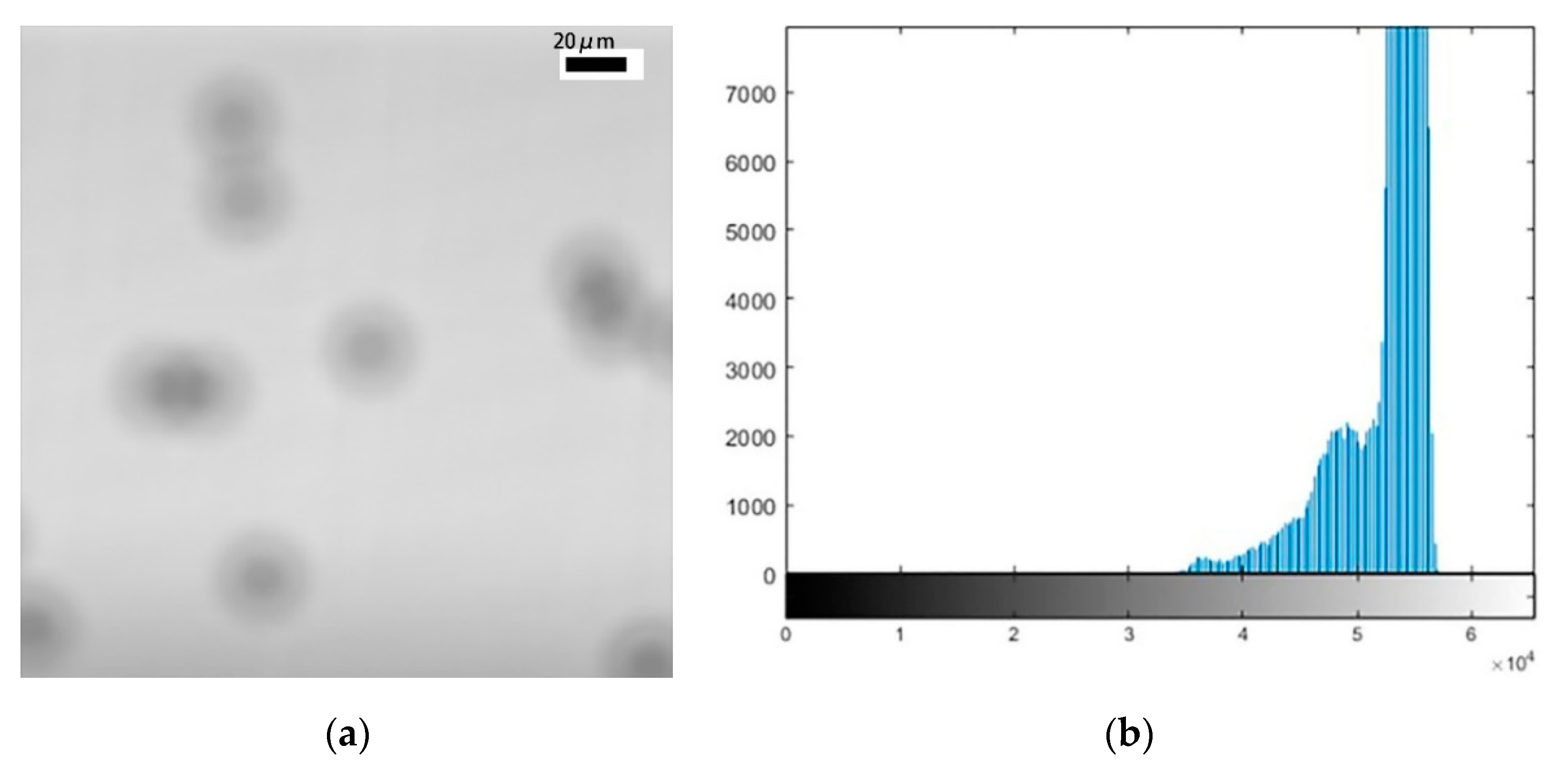 Micromachines 11 00293 g003 Micromachines 11 00293 g003