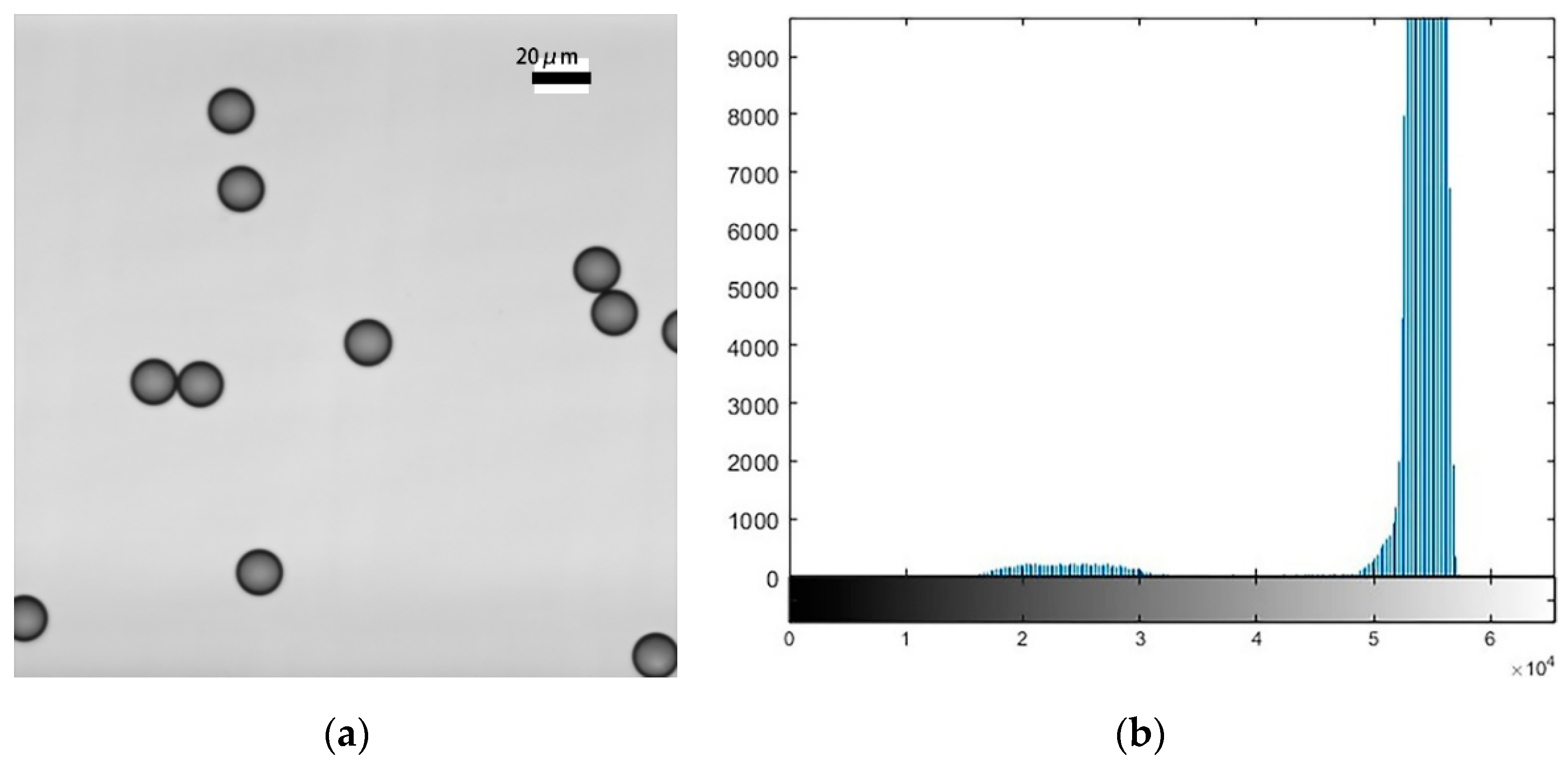 Micromachines 11 00293 g005 Micromachines 11 00293 g005