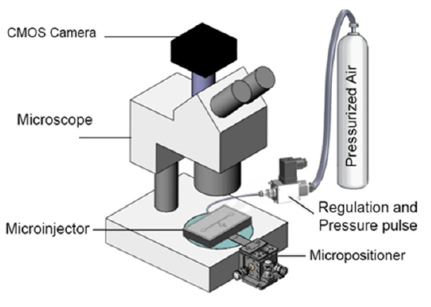 Micromachines 11 00295 g010 Micromachines 11 00295 g010