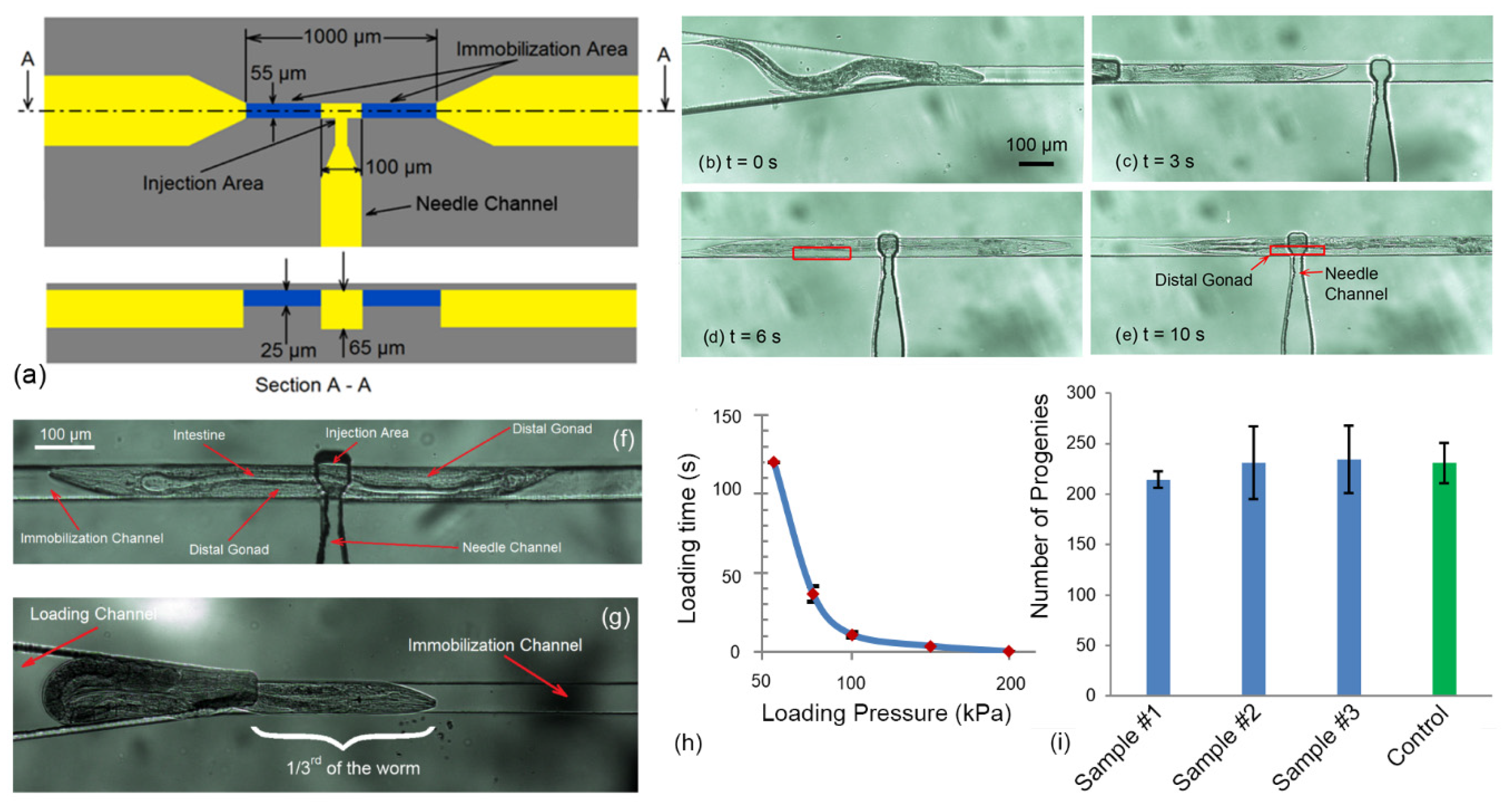 Micromachines 11 00295 g011 Micromachines 11 00295 g011