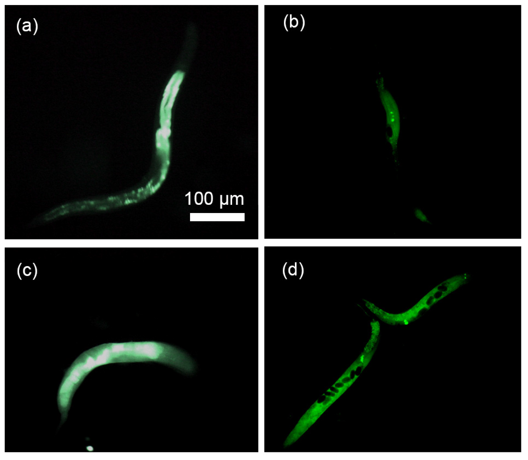 Micromachines 11 00295 g015 Micromachines 11 00295 g015