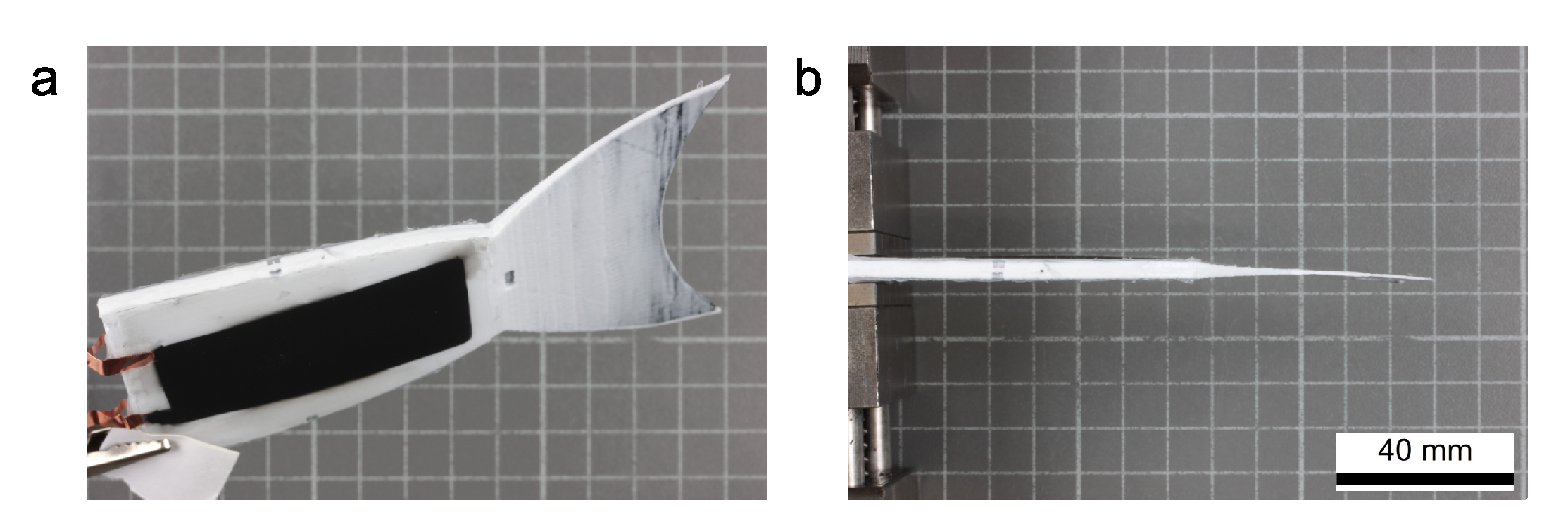 Micromachines 11 00298 g004