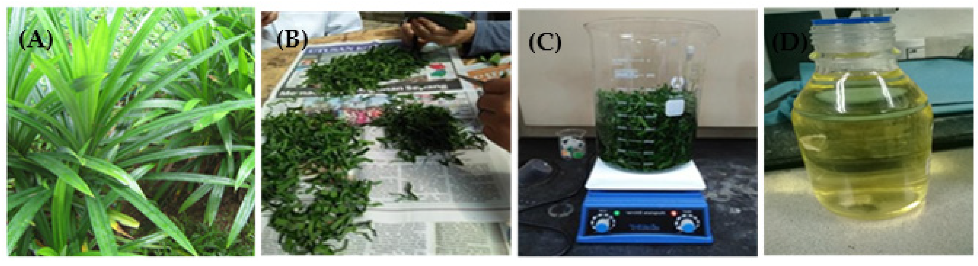 Micromachines 11 00299 g001 Micromachines 11 00299 g001