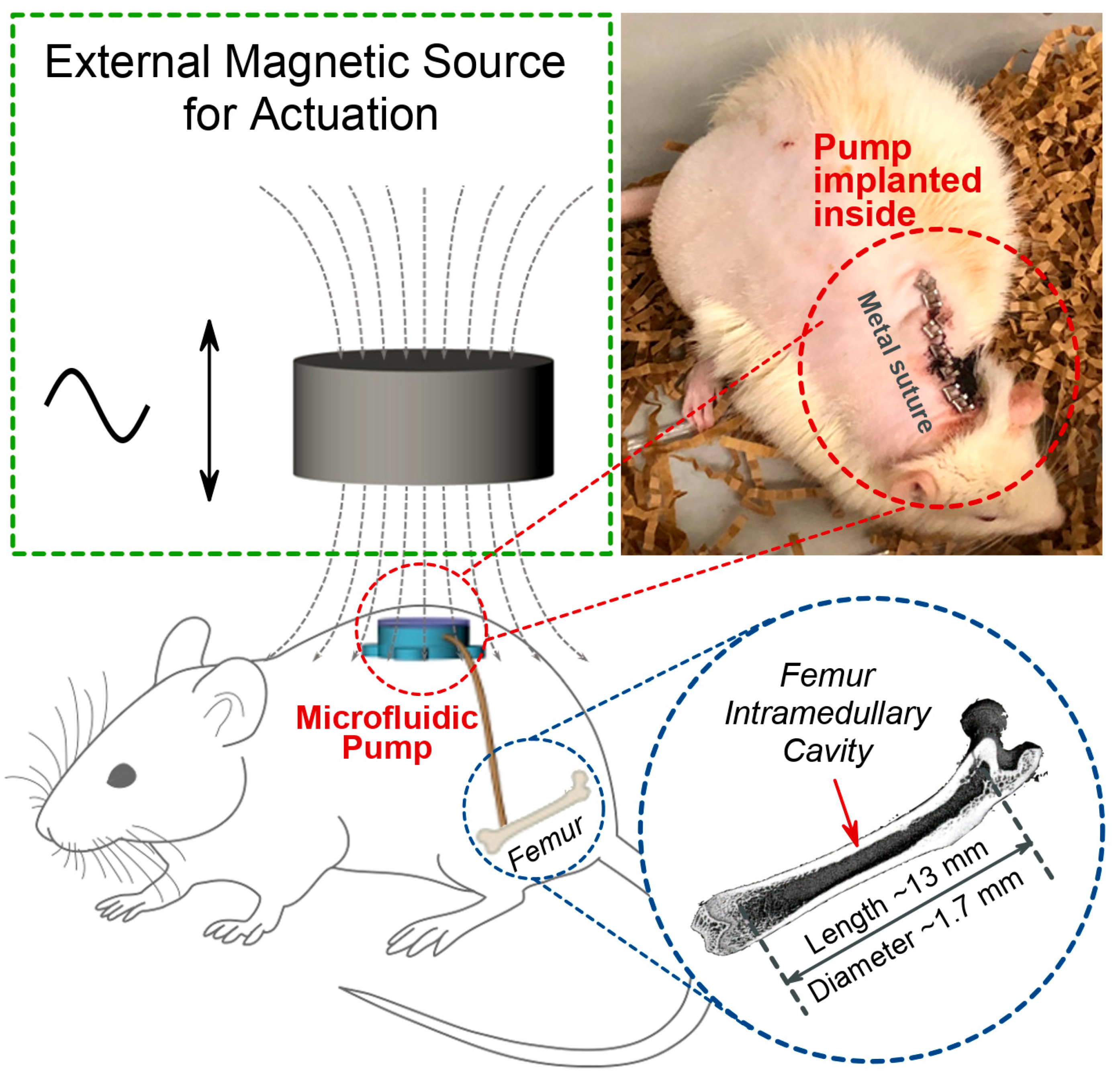 Micromachines 11 00300 g001 Micromachines 11 00300 g001