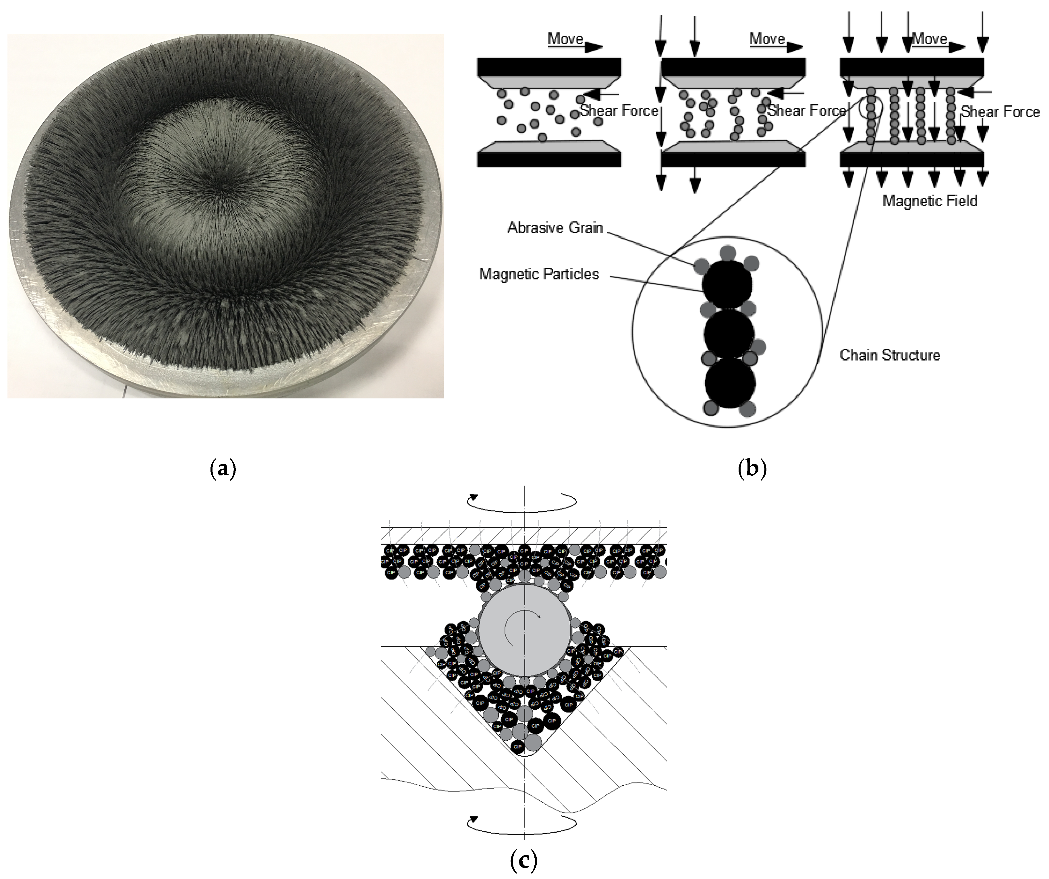 Micromachines 11 00304 g001