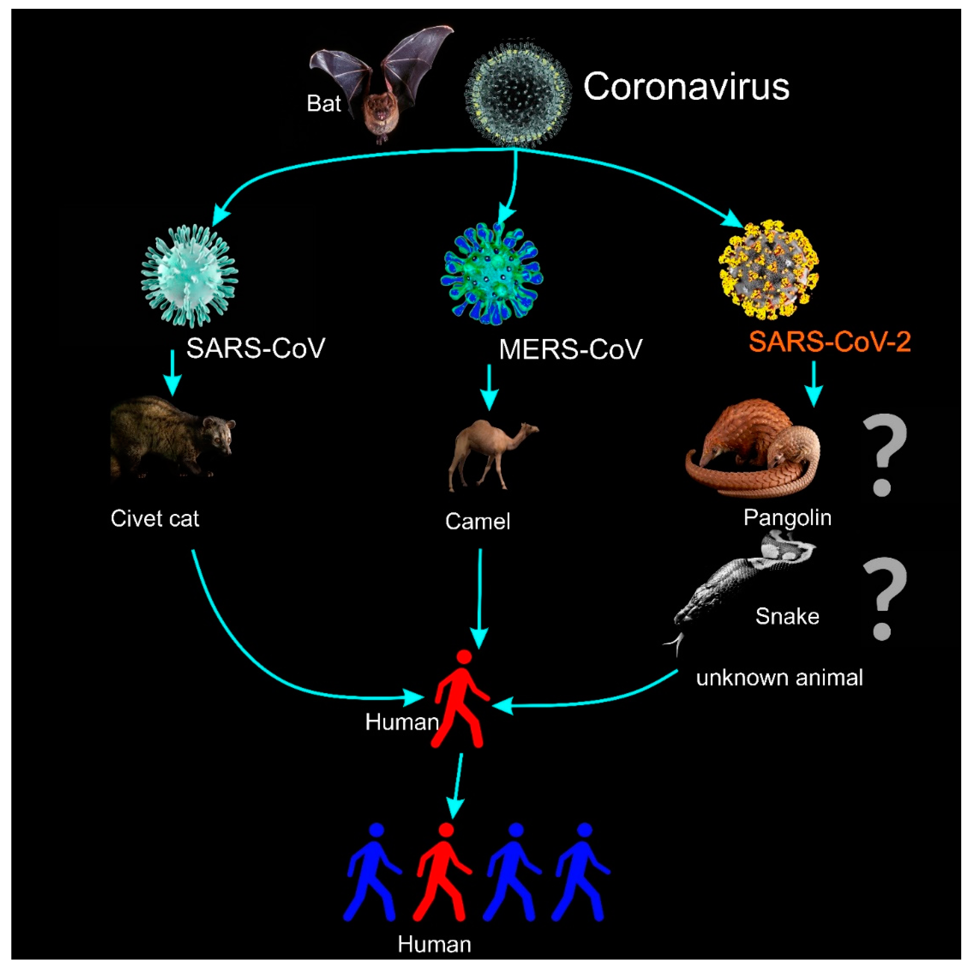 Micromachines | Free Full-Text | 2019 Novel Coronavirus ...