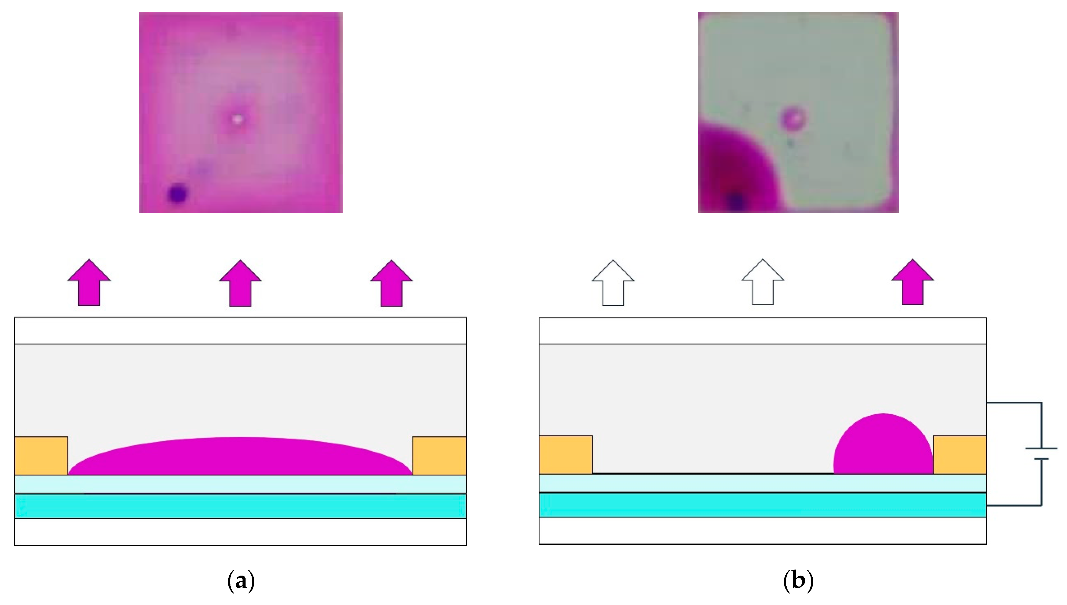 Micromachines 11 00313 g002