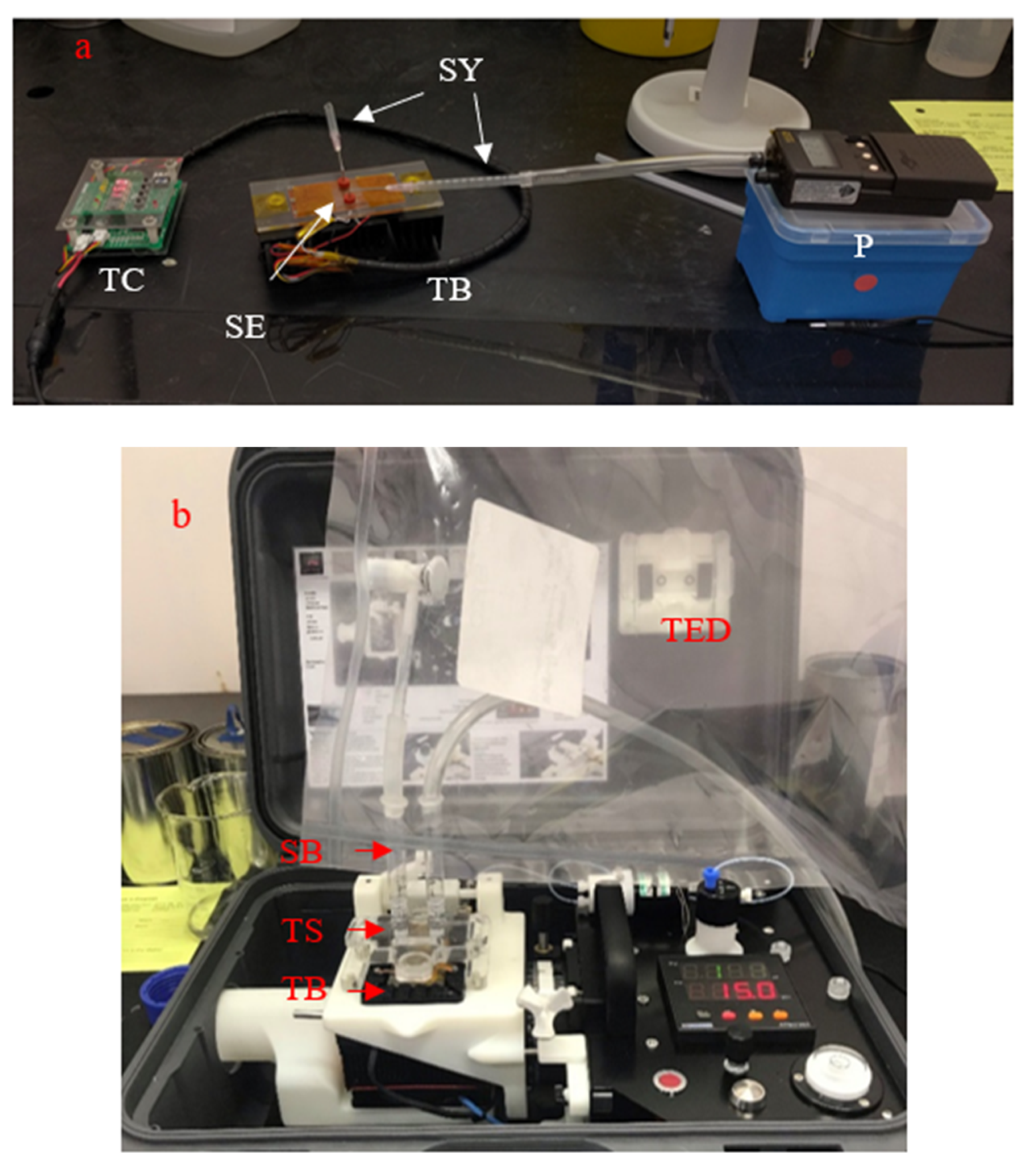 Micromachines 11 00315 g003