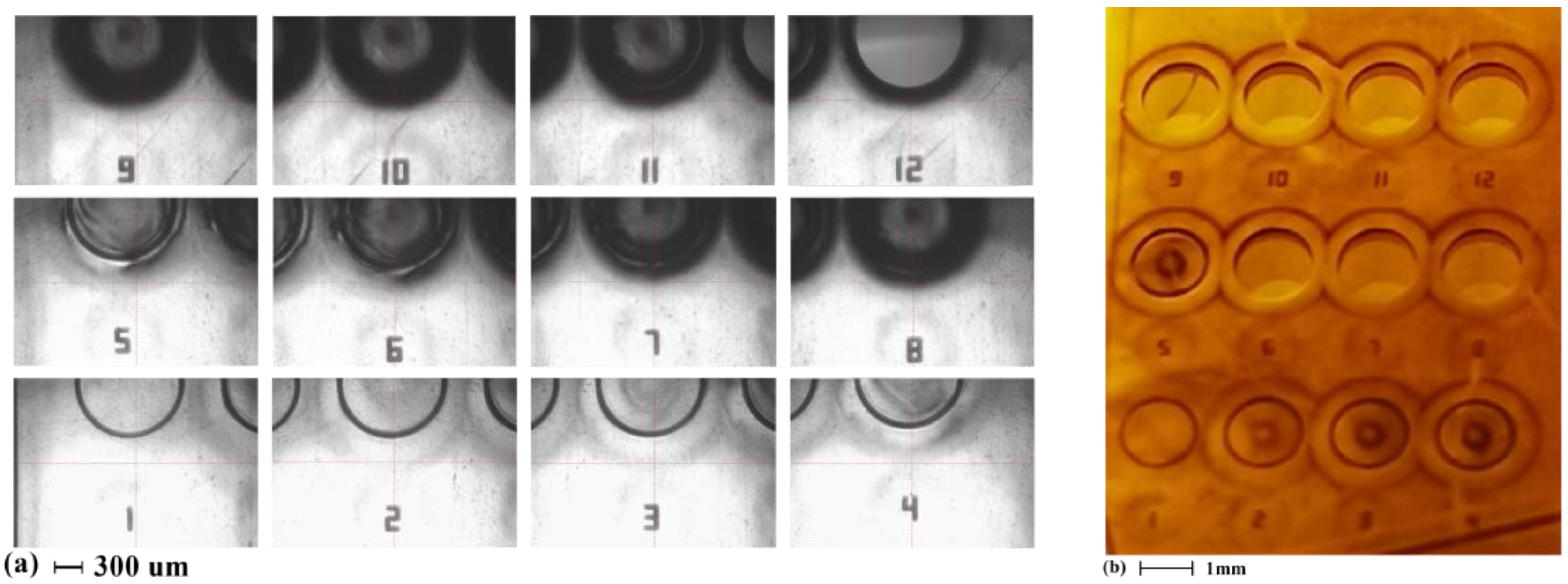 Micromachines 11 00317 g003