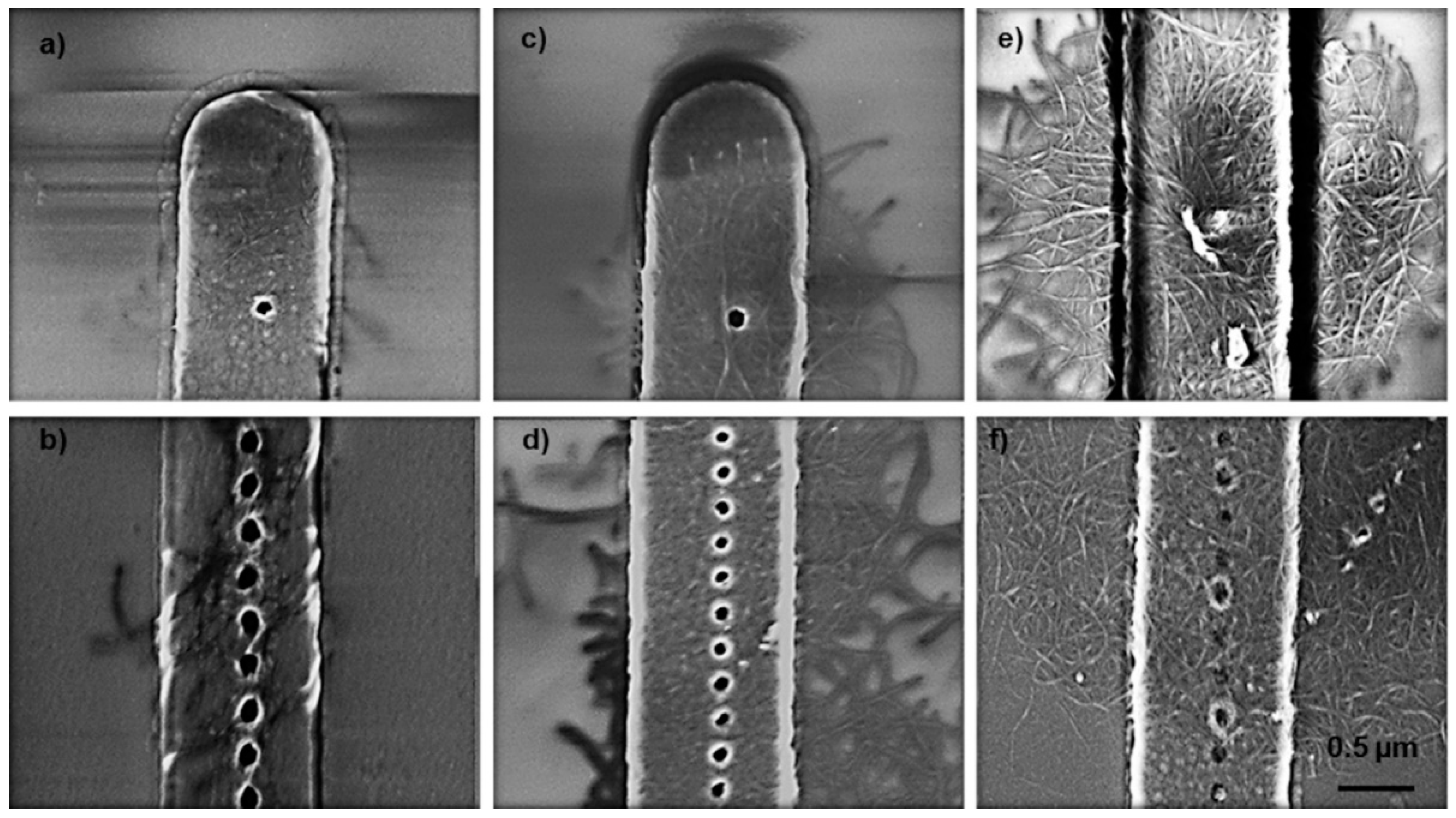 Micromachines 11 00324 g007 Micromachines 11 00324 g007