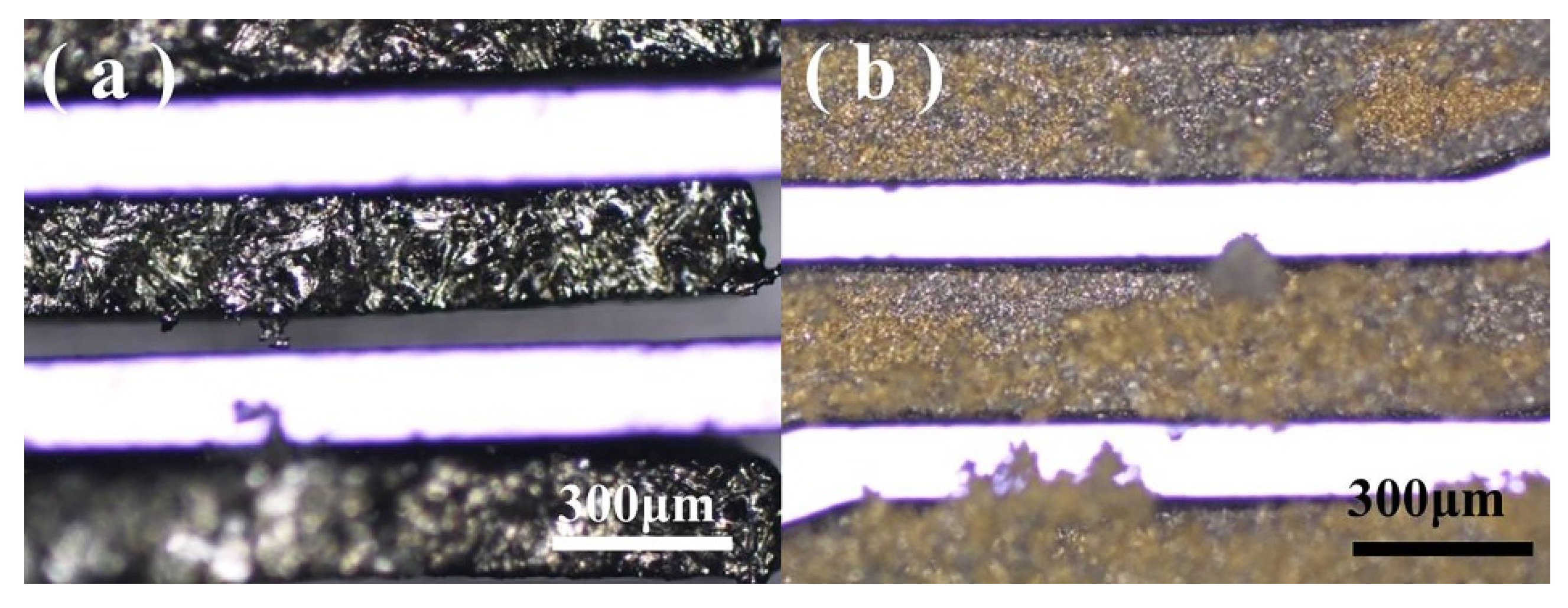 Micromachines 11 00328 g003