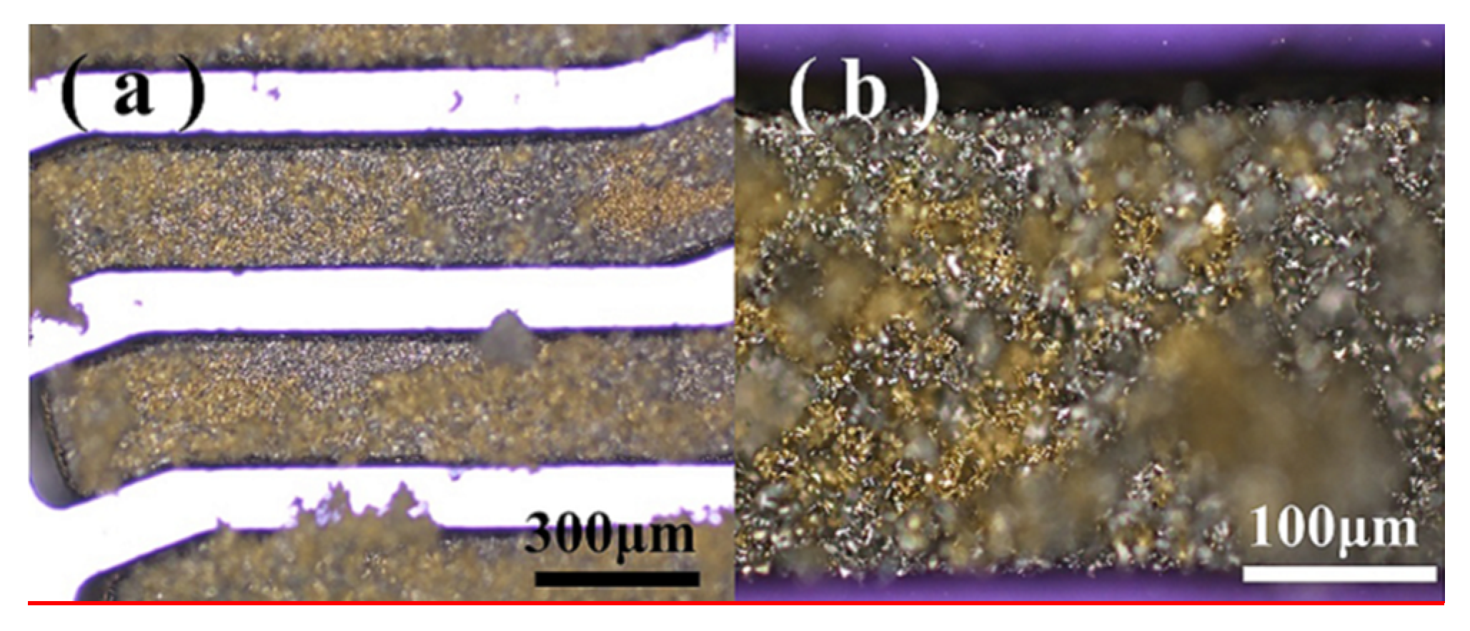 Micromachines 11 00328 g006