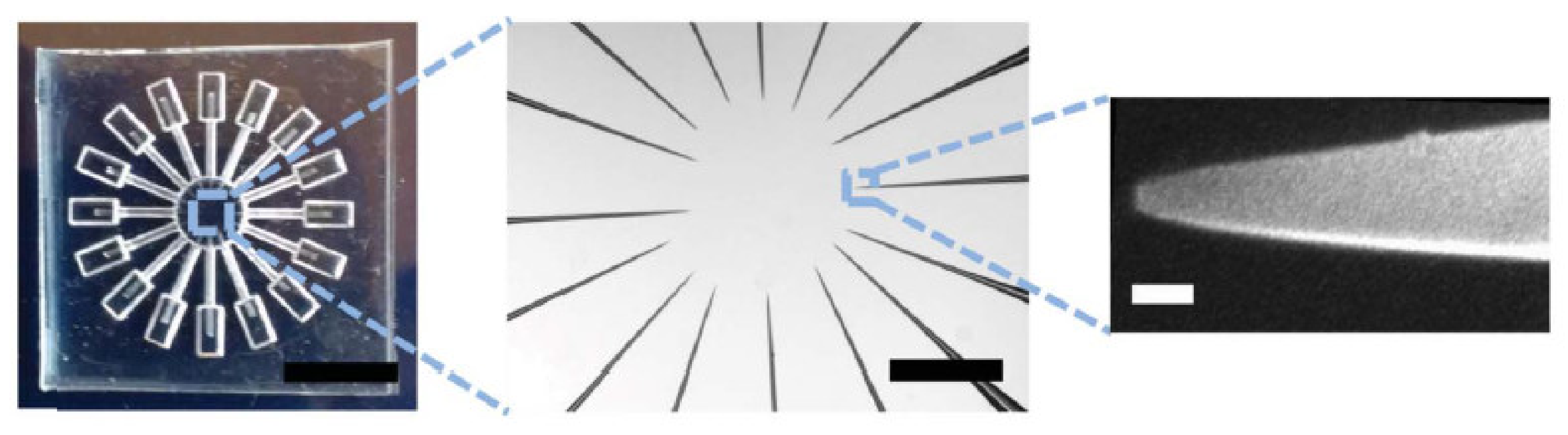 Micromachines 11 00332 g004