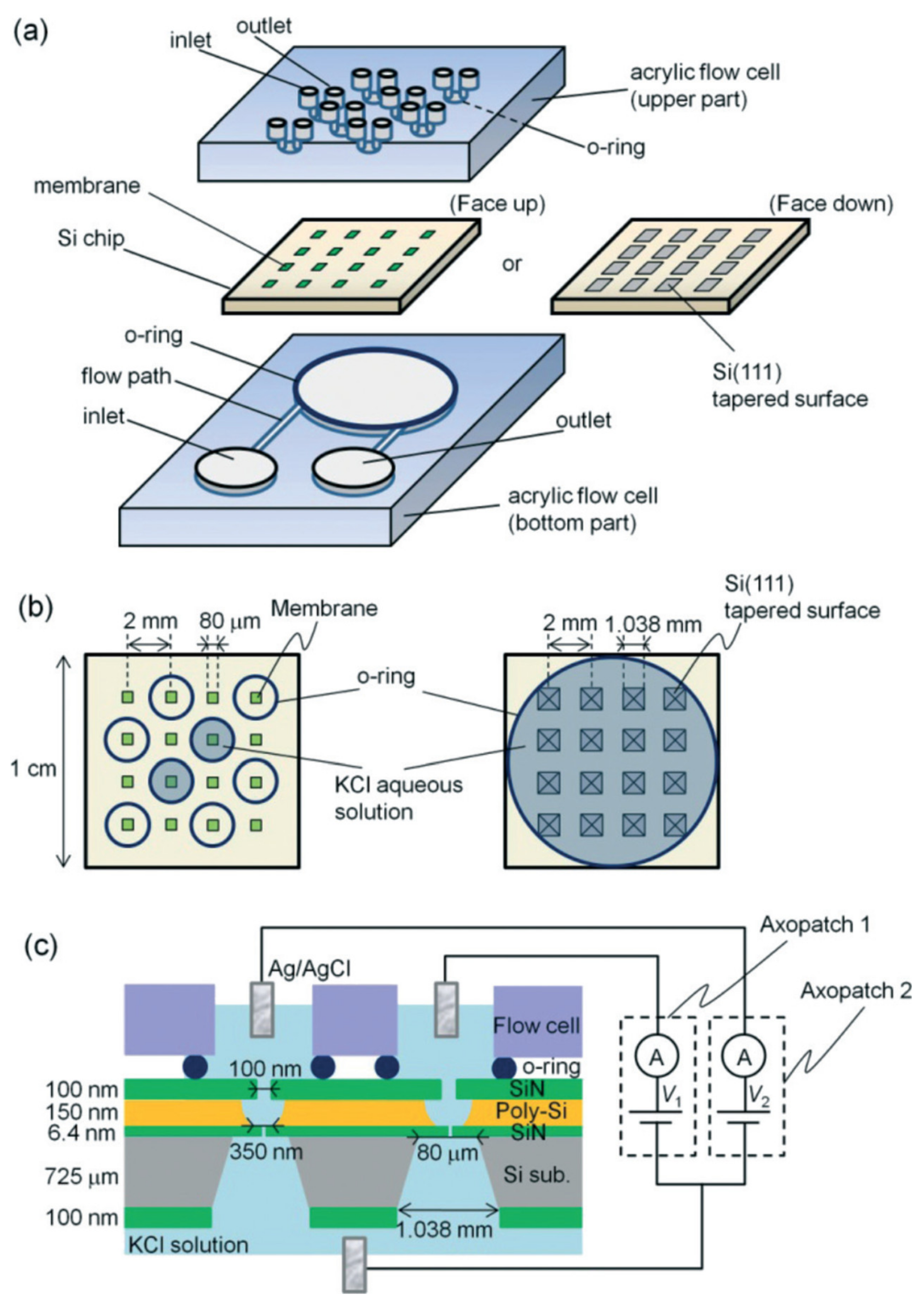 Micromachines 11 00332 g005
