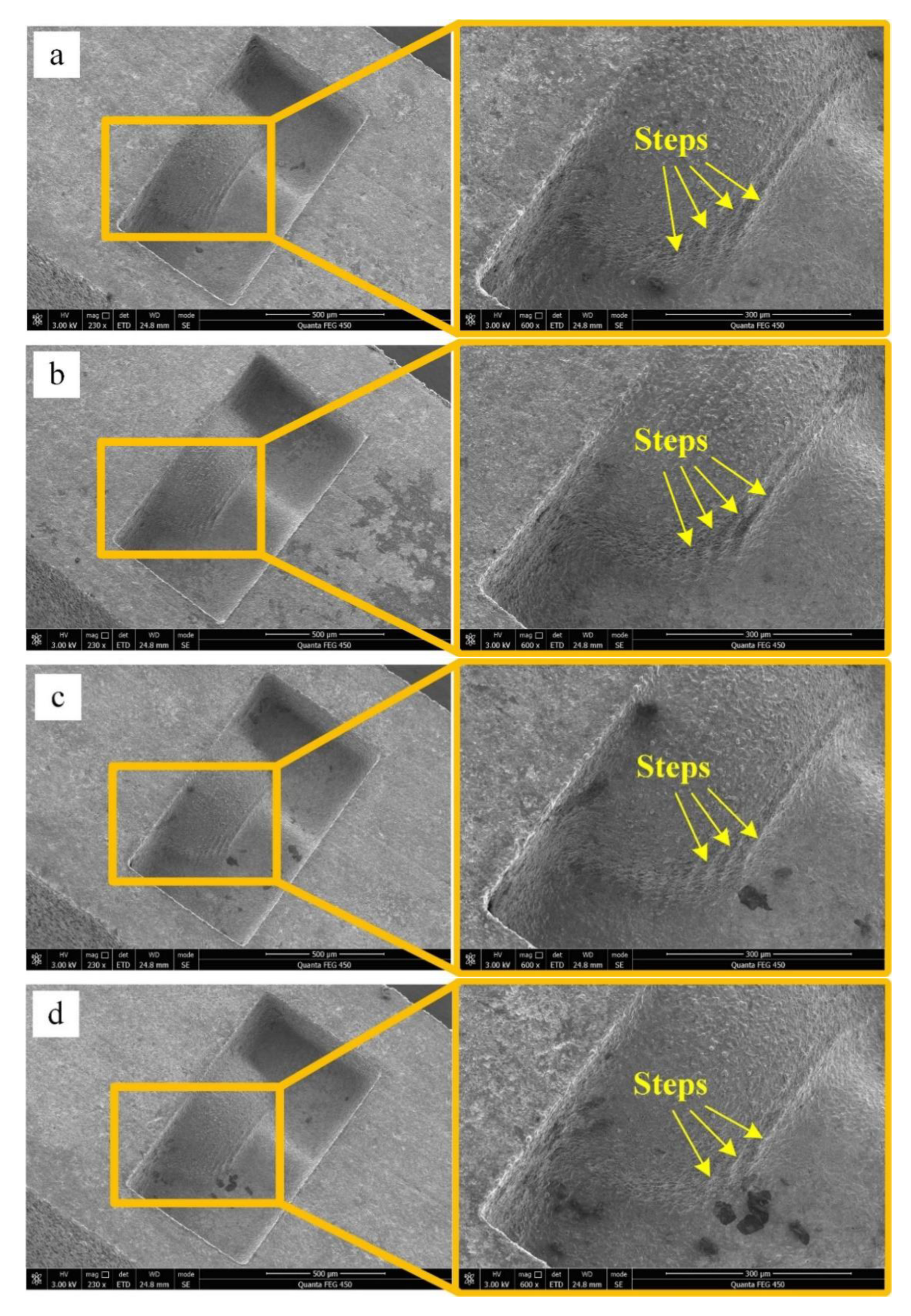 Micromachines 11 00335 g003a Micromachines 11 00335 g003a