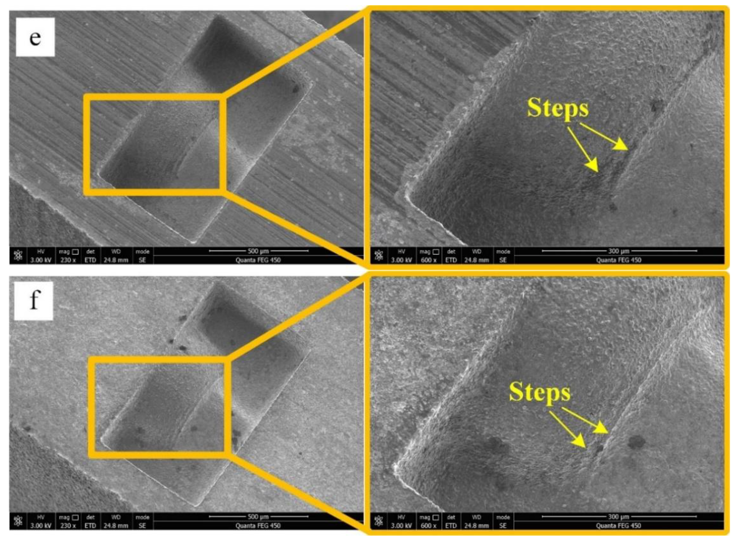 Micromachines 11 00335 g003b Micromachines 11 00335 g003b