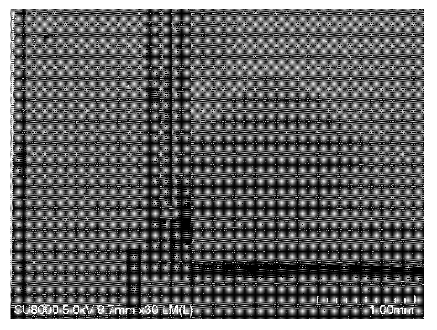 Micromachines 11 00337 g012