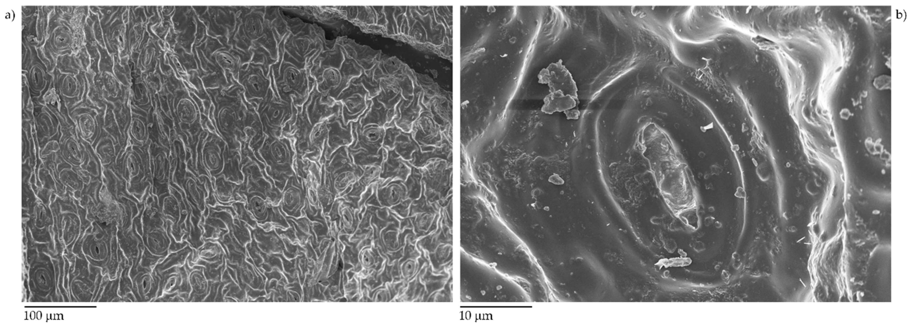 Micromachines 11 00339 g001 Micromachines 11 00339 g001