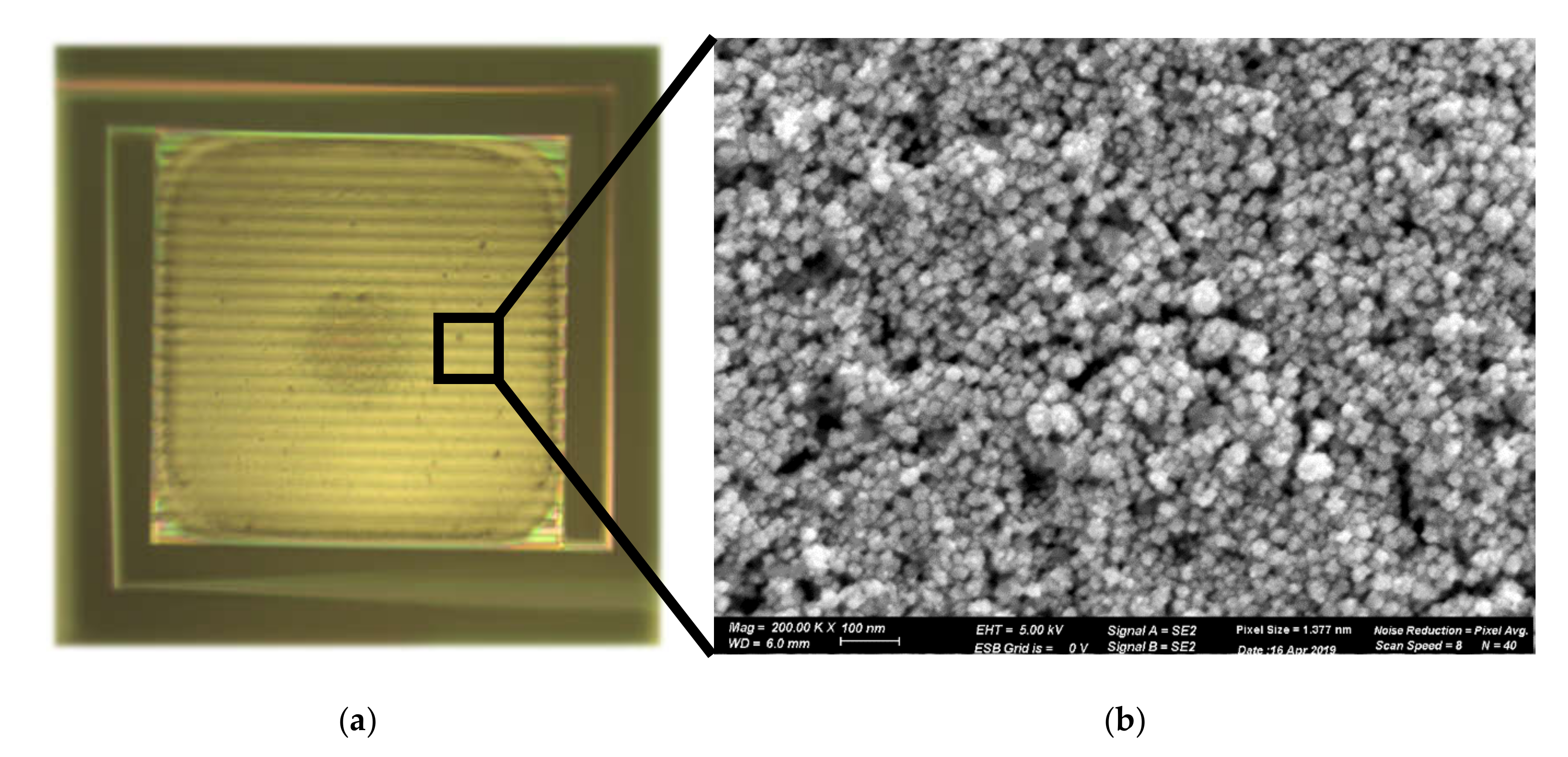 Micromachines 11 00345 g005 Micromachines 11 00345 g005