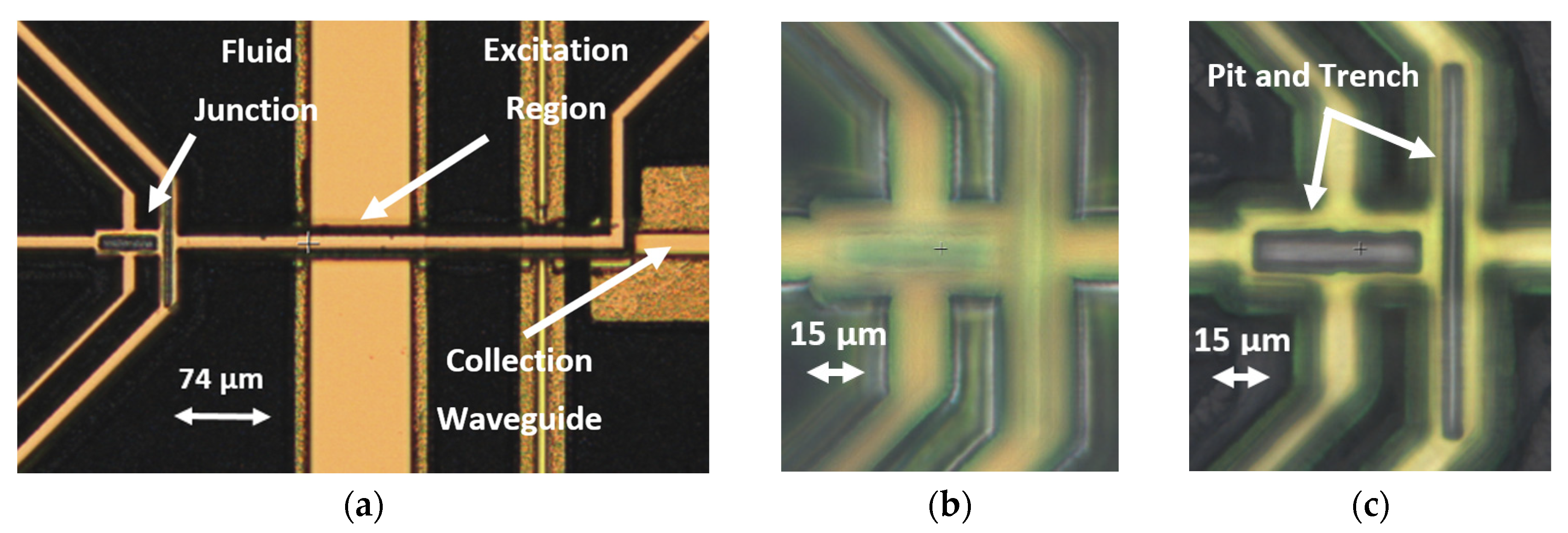 Micromachines 11 00349 g007