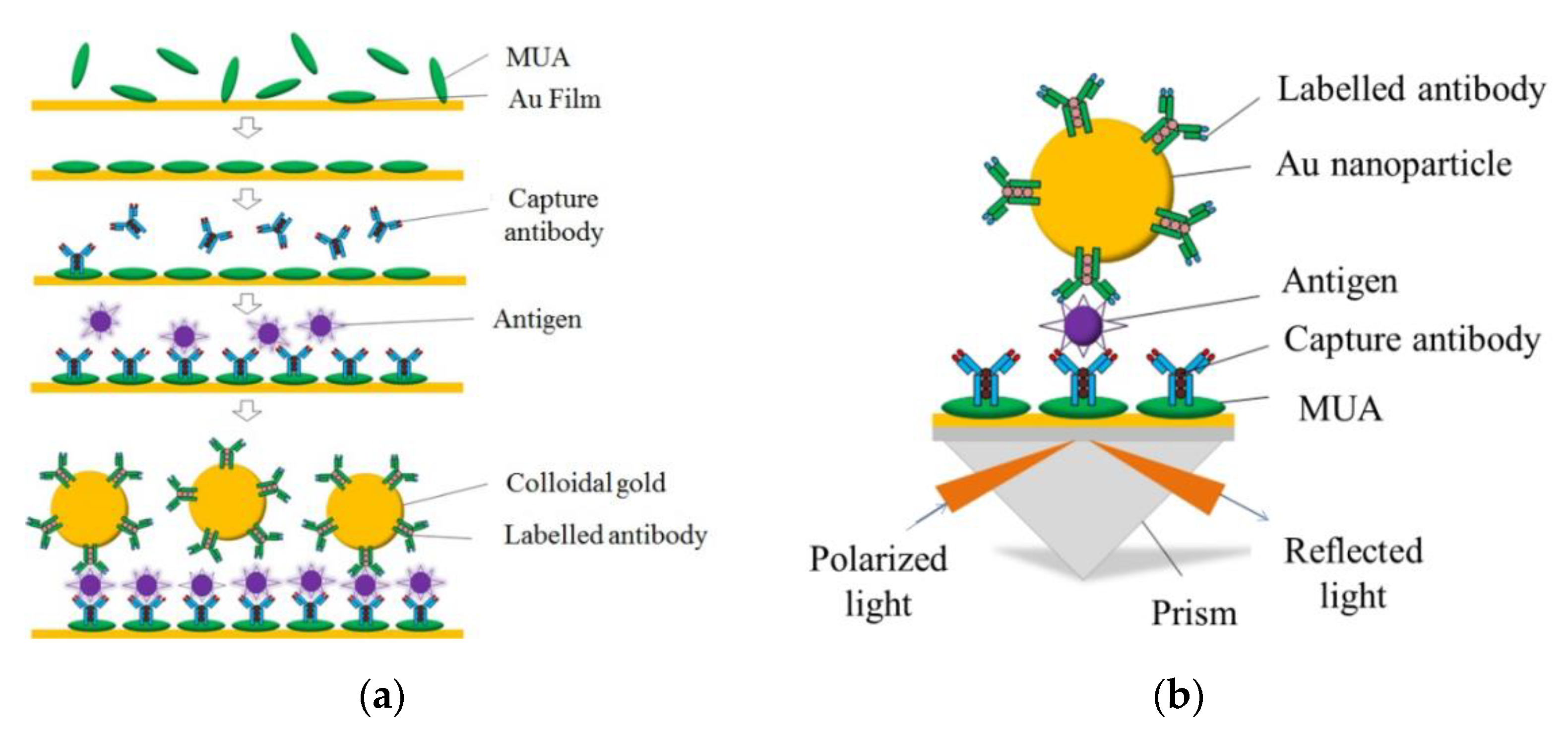 Micromachines 11 00350 g002