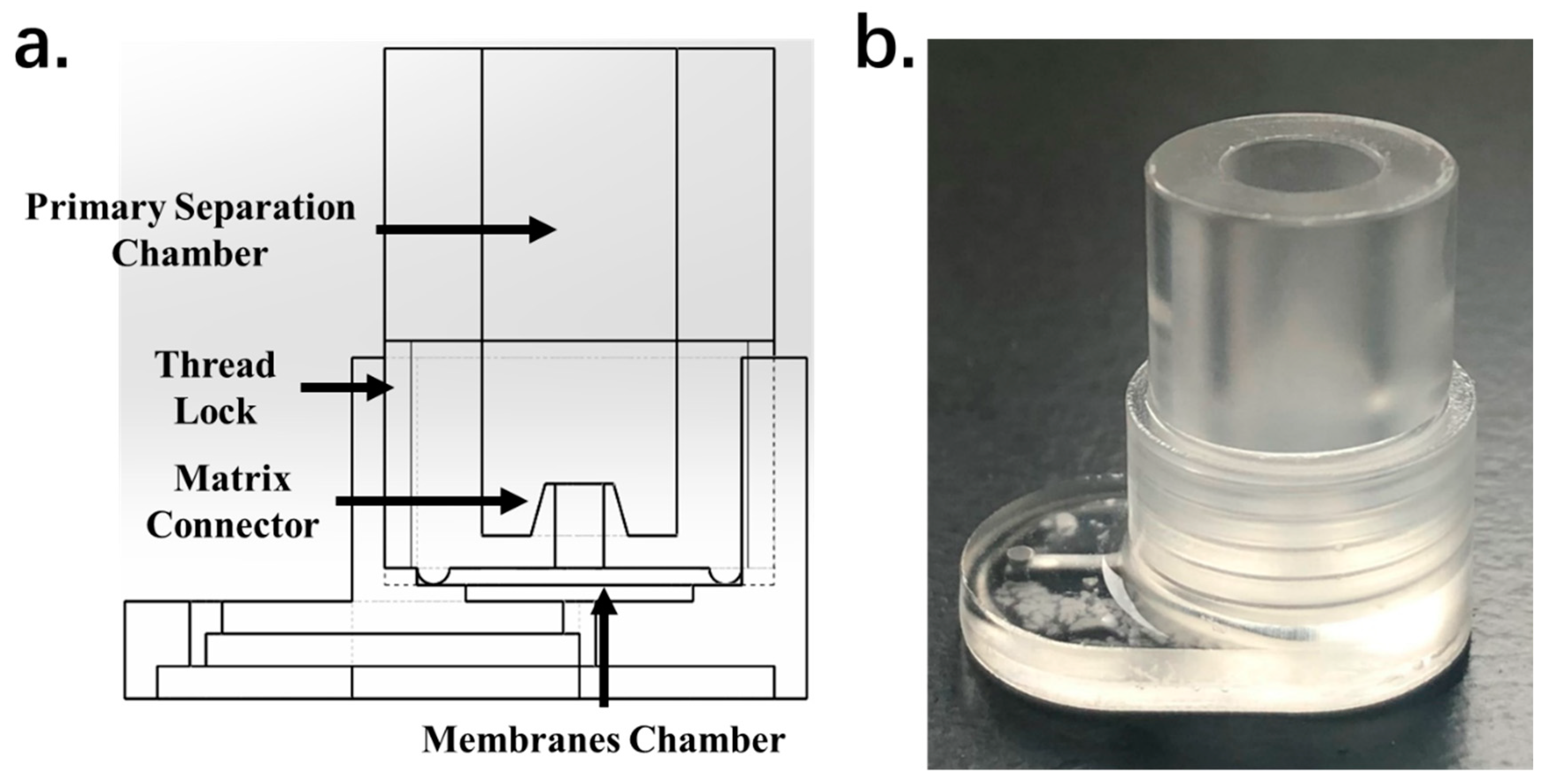 Micromachines 11 00352 g007