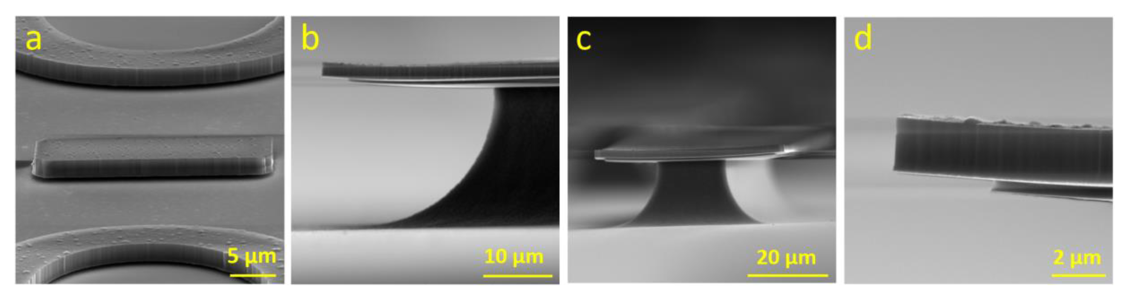 Micromachines 11 00365 g003 Micromachines 11 00365 g003