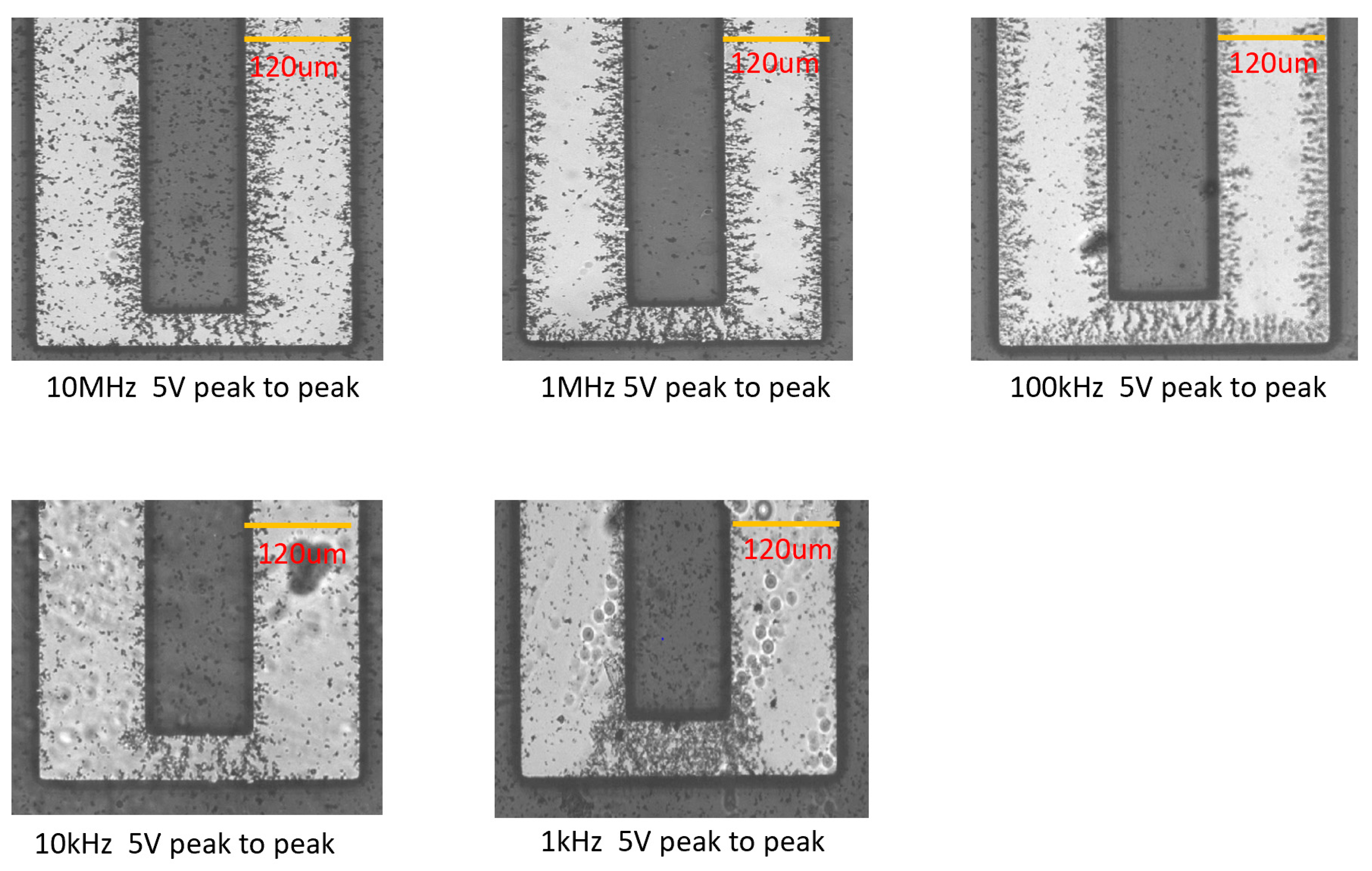 Micromachines 11 00371 g005