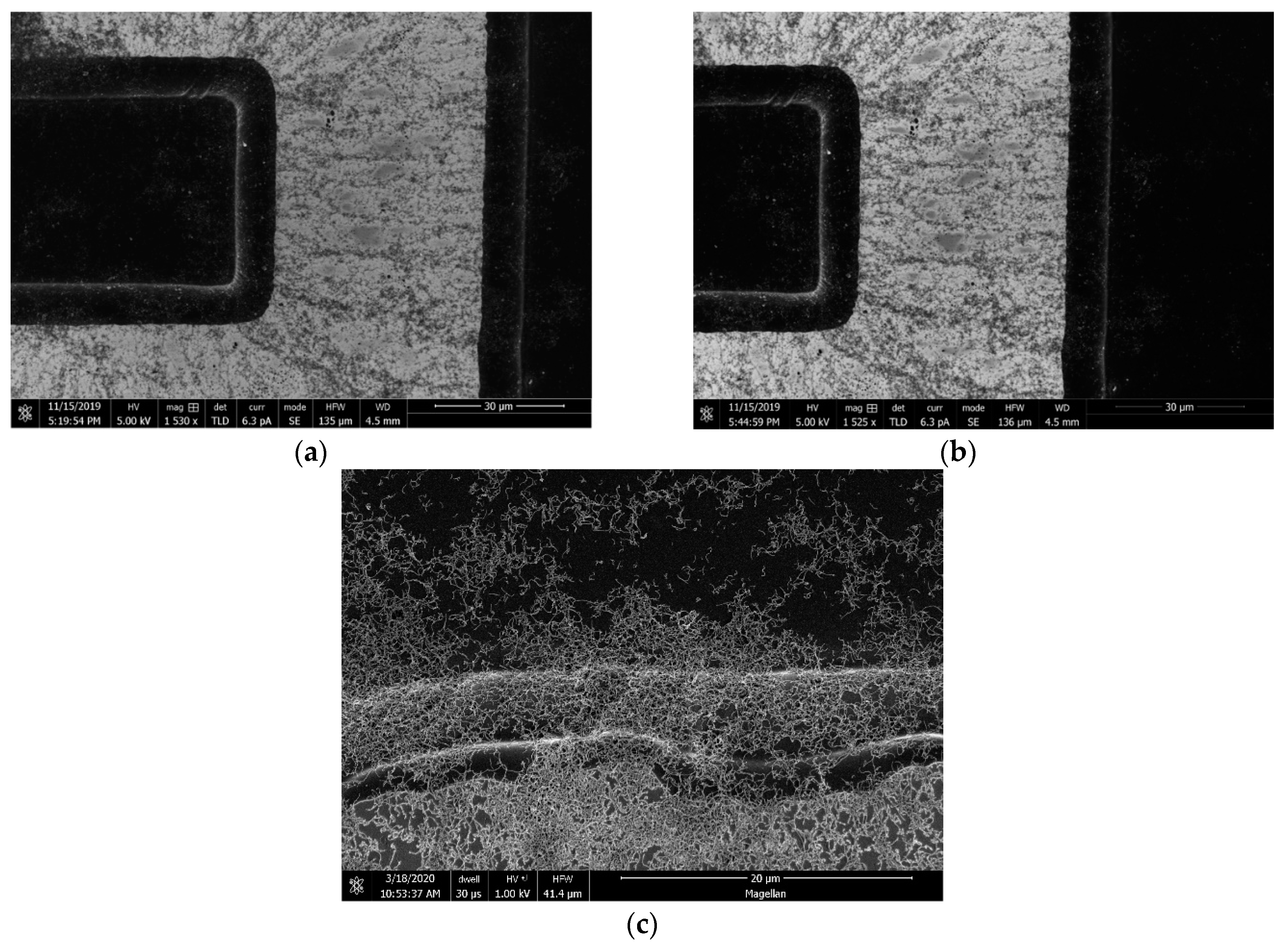Micromachines 11 00371 g006