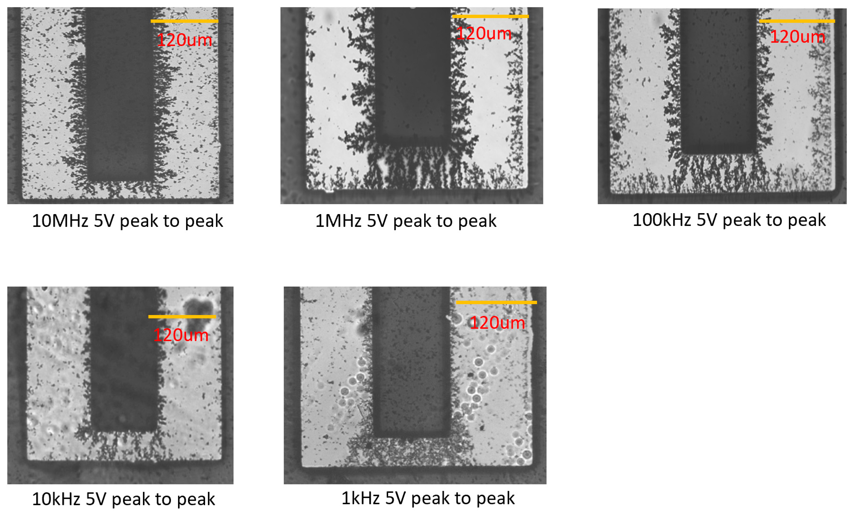 Micromachines 11 00371 g010