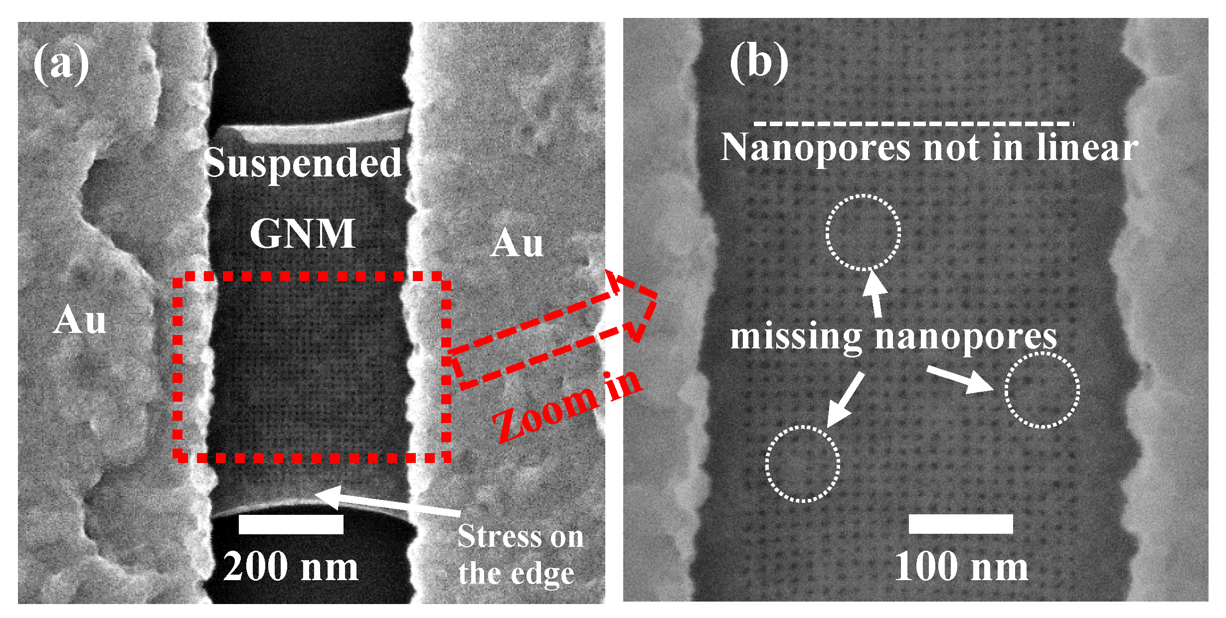 Micromachines 11 00387 g003 Micromachines 11 00387 g003