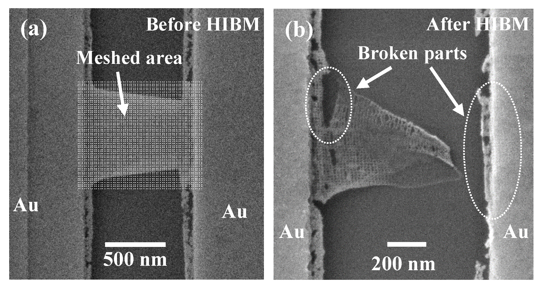 Micromachines 11 00387 g004 Micromachines 11 00387 g004