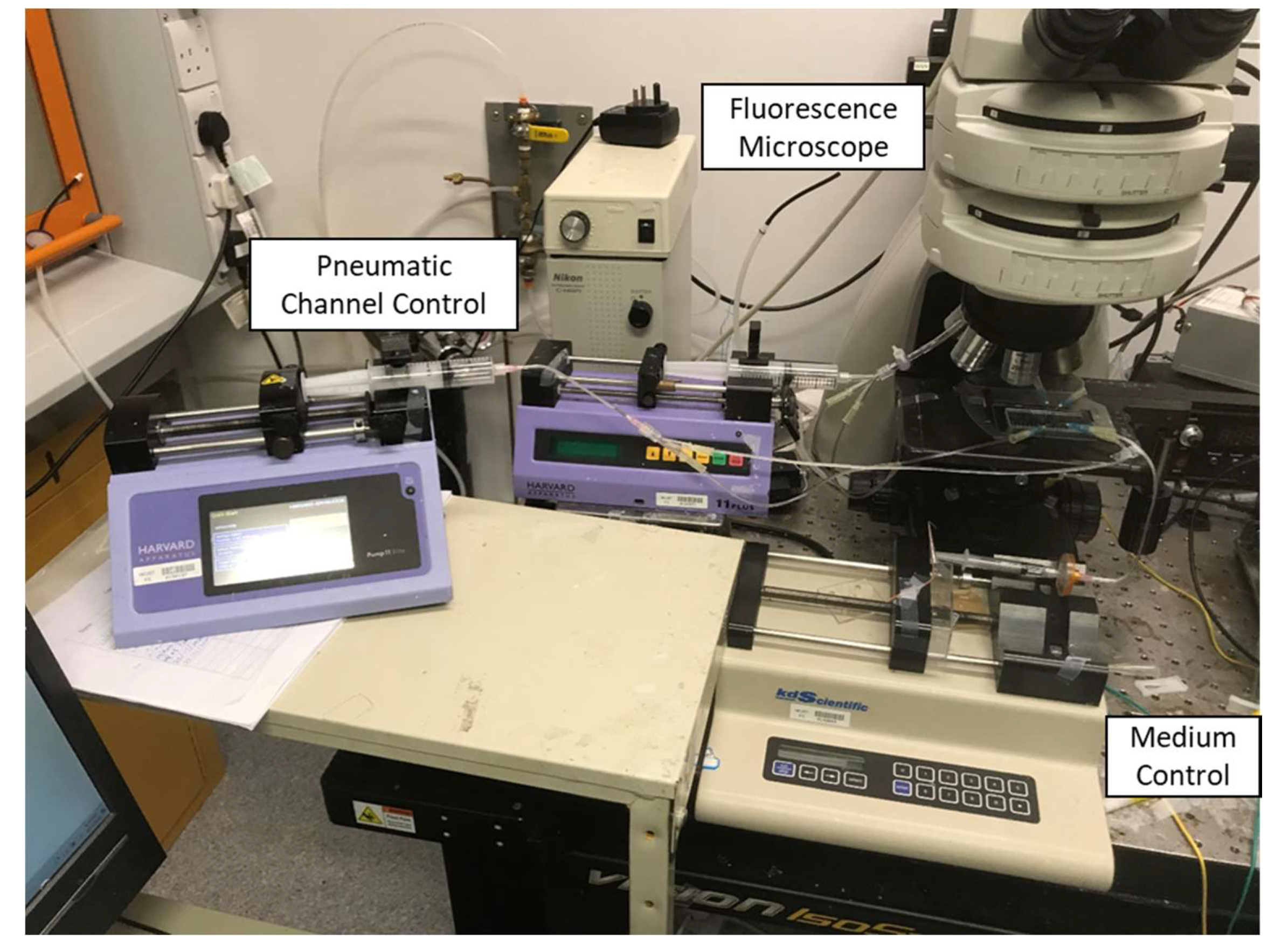 Micromachines 11 00395 g004