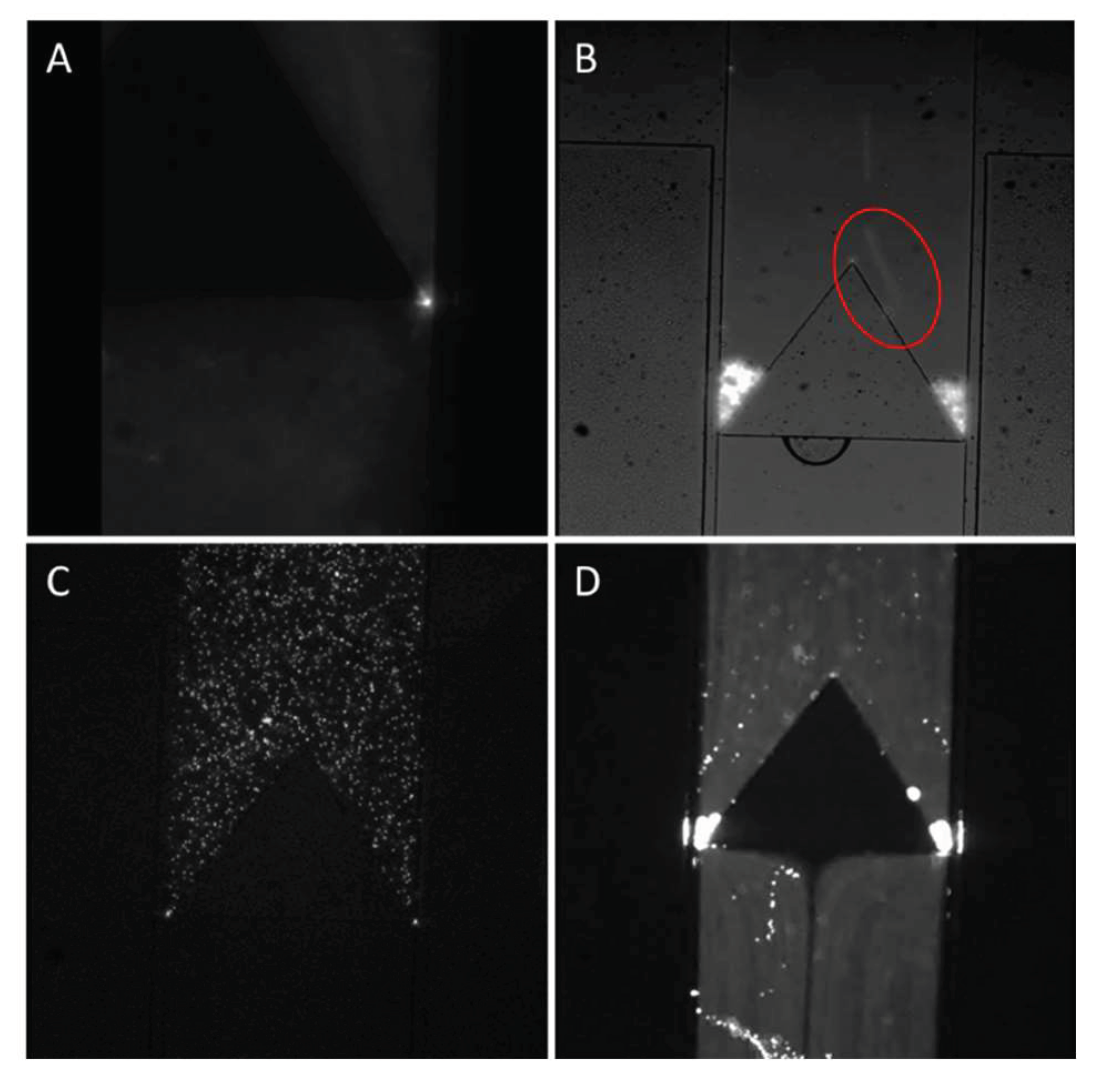 Micromachines 11 00395 g006