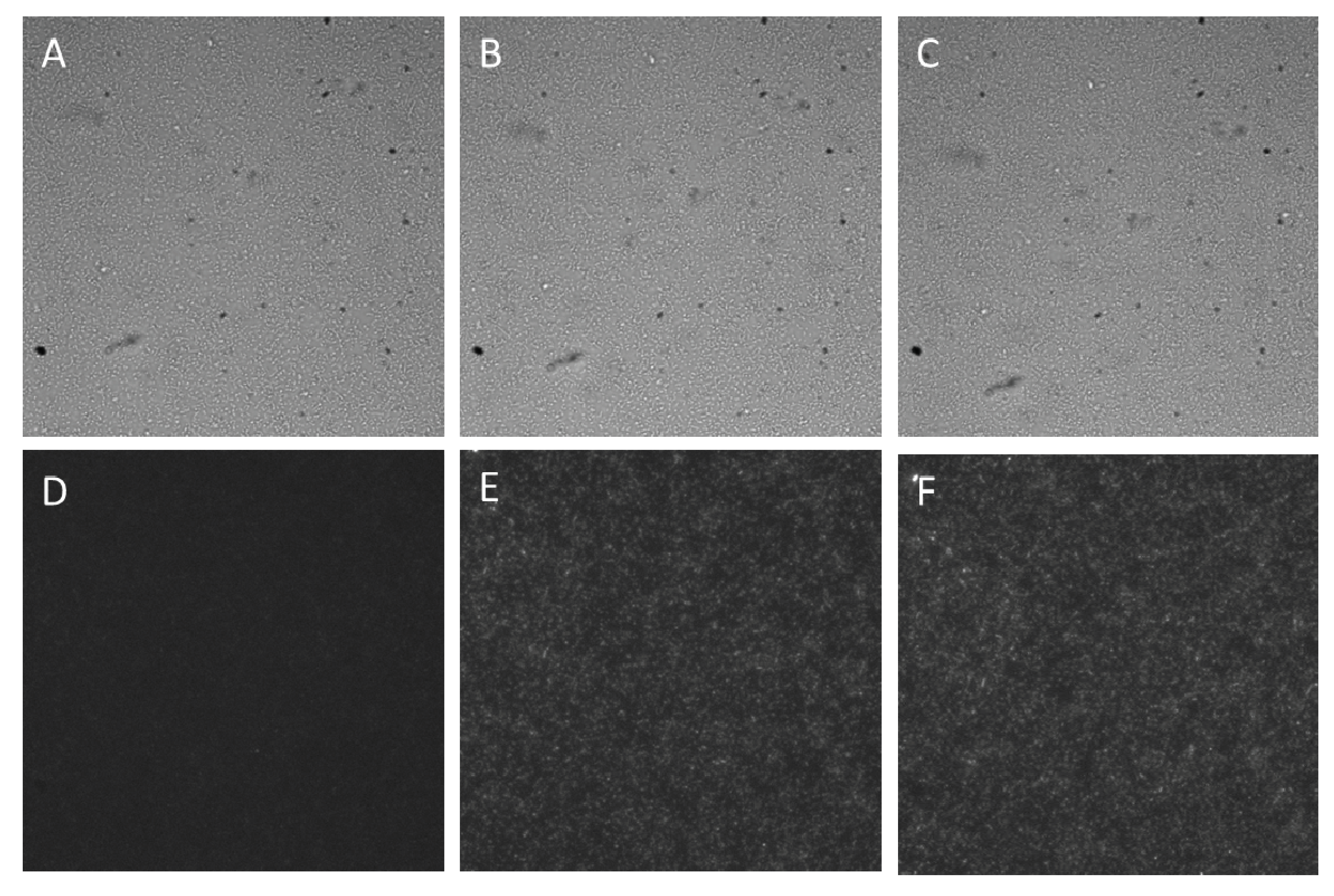 Micromachines 11 00395 g007