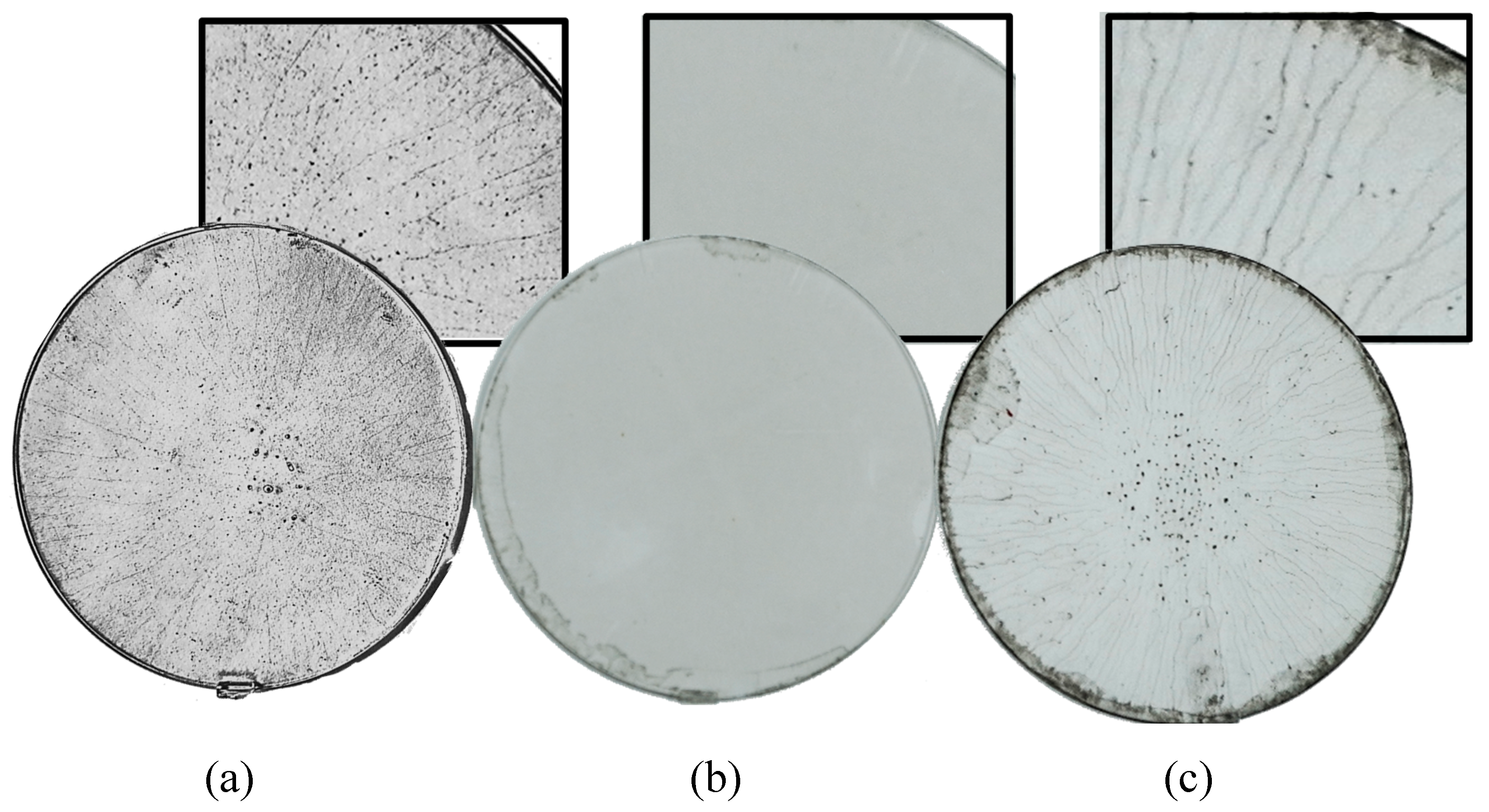 Micromachines 11 00399 g002