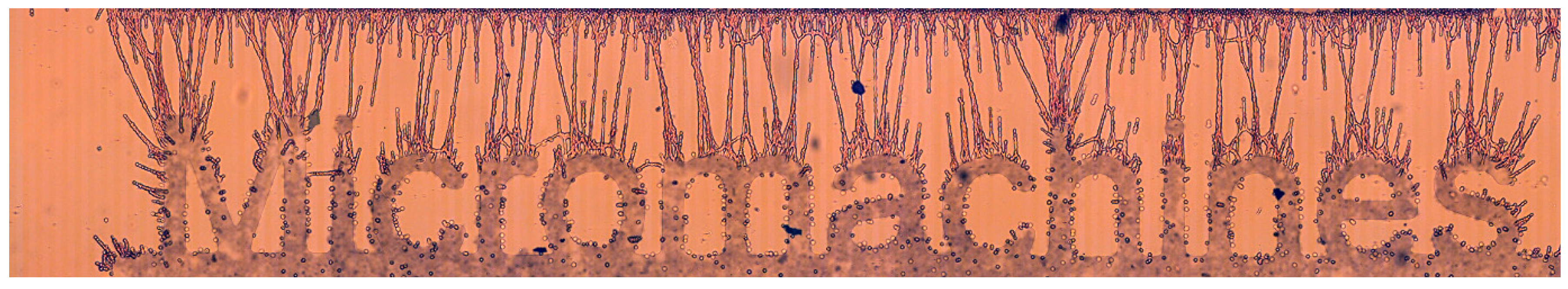 Micromachines 11 00399 g005