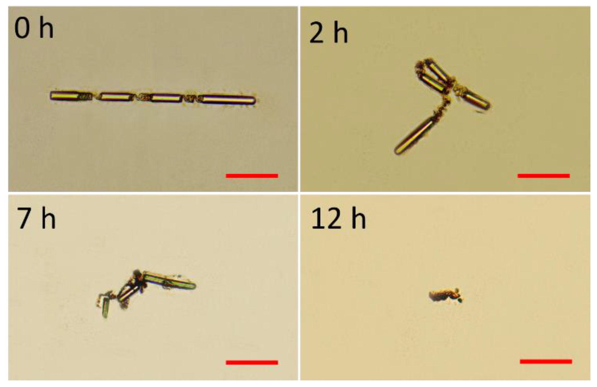 Micromachines 11 00404 g003