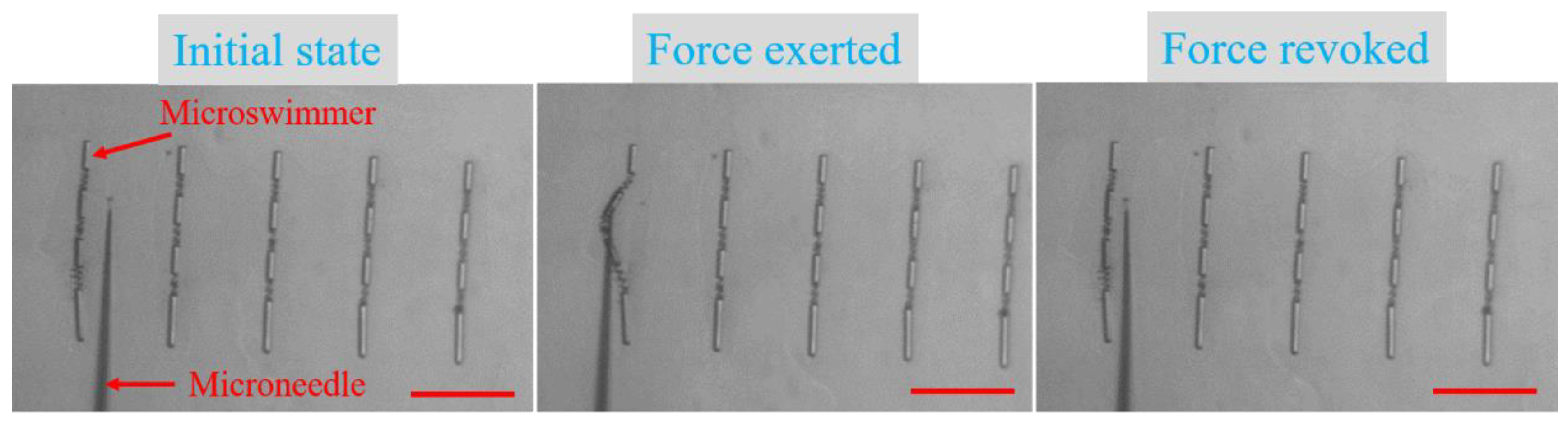Micromachines 11 00404 g004